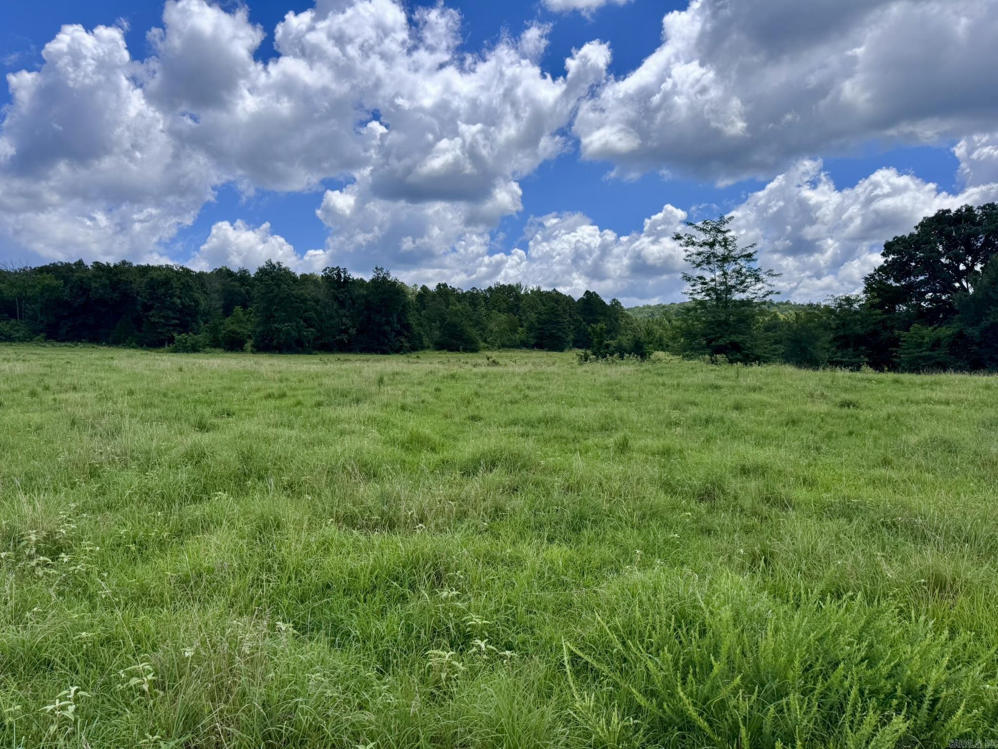 2430 Gorby Road  Calico Rock, AR