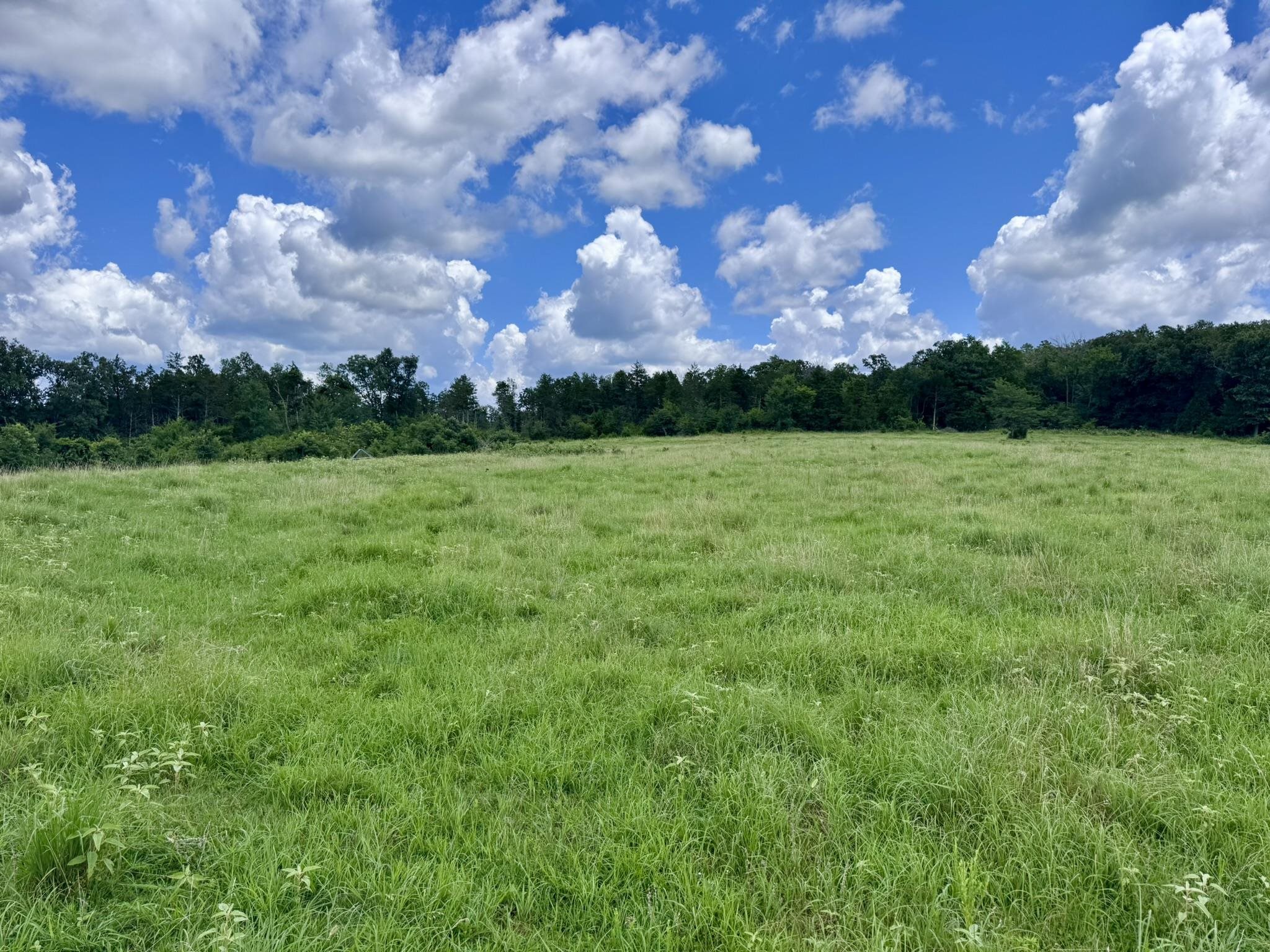 2430 Gorby Road  Calico Rock, AR