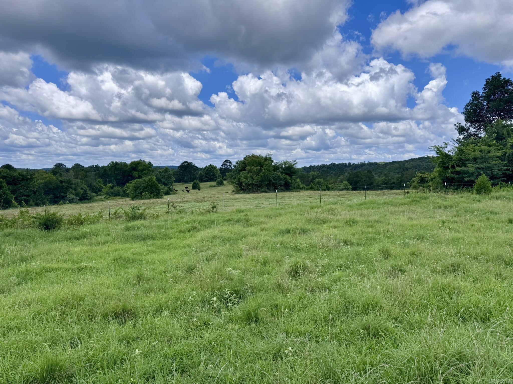 2430 Gorby Road  Calico Rock, AR
