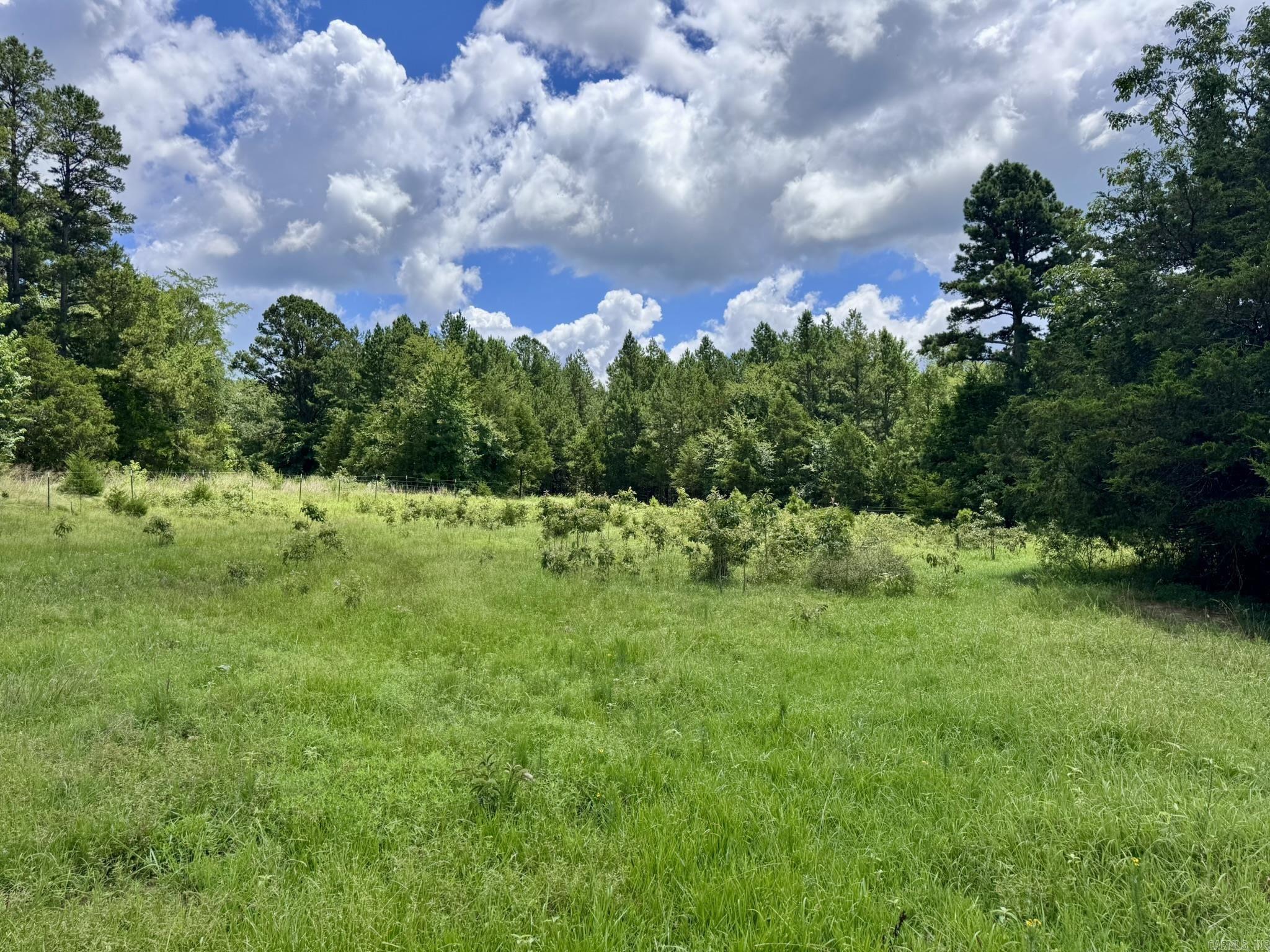 2430 Gorby Road  Calico Rock, AR