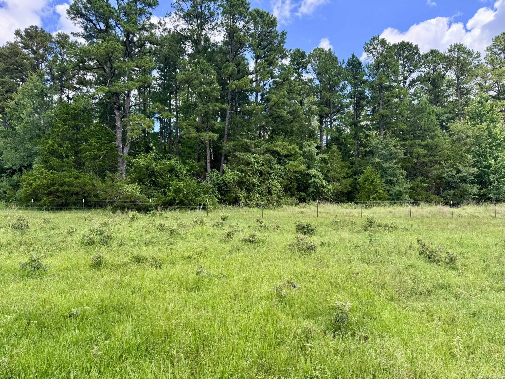2430 Gorby Road  Calico Rock, AR
