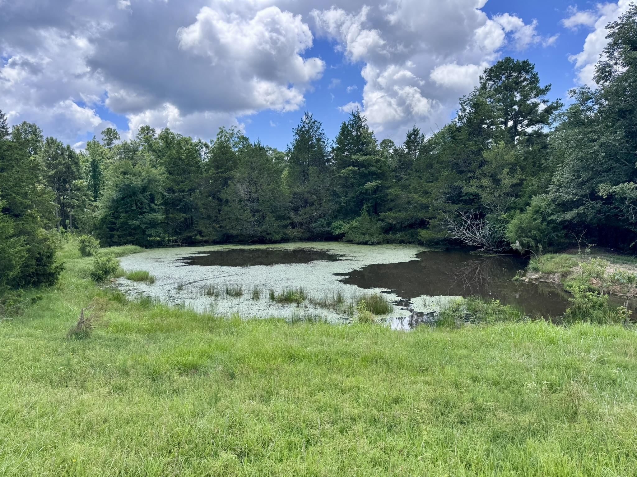 2430 Gorby Road  Calico Rock, AR