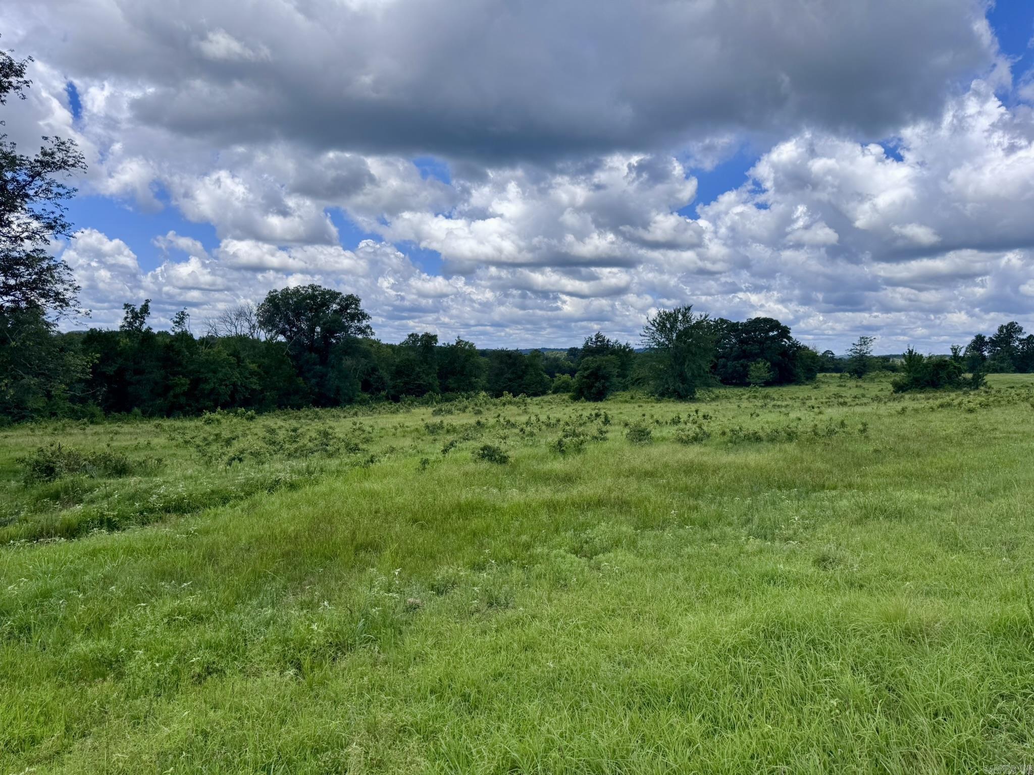 2430 Gorby Road  Calico Rock, AR