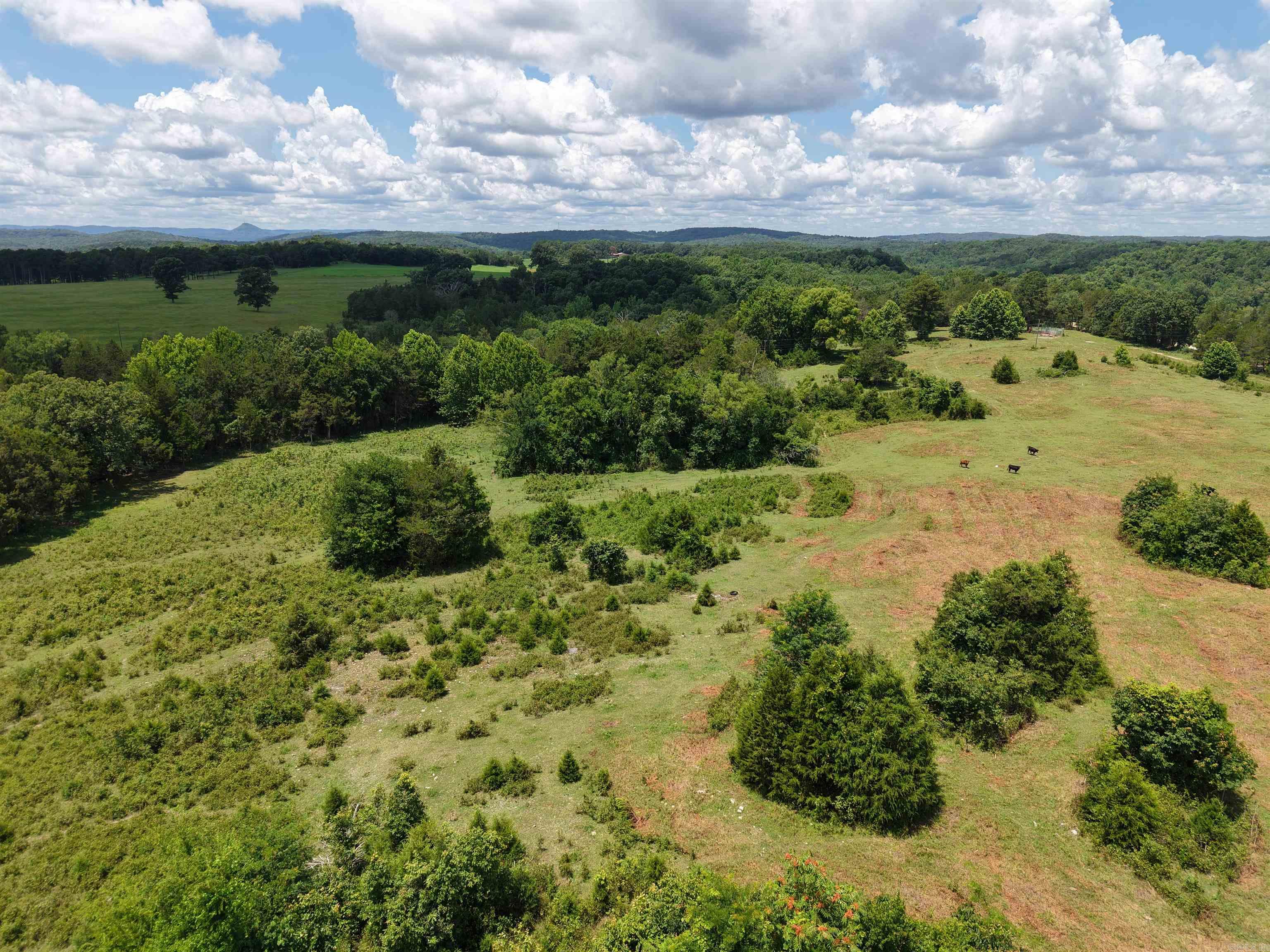2430 Gorby Road  Calico Rock, AR