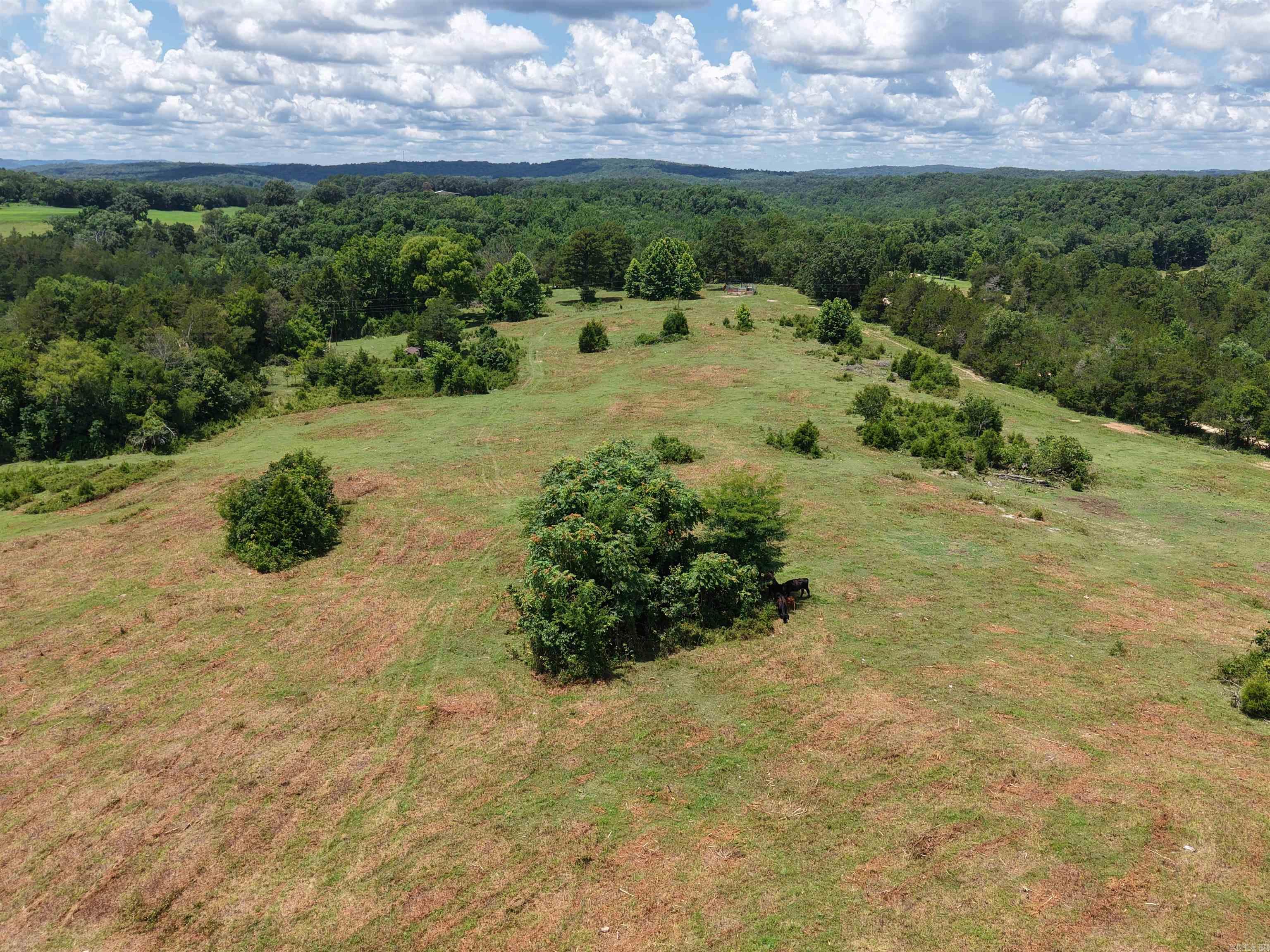 2430 Gorby Road  Calico Rock, AR