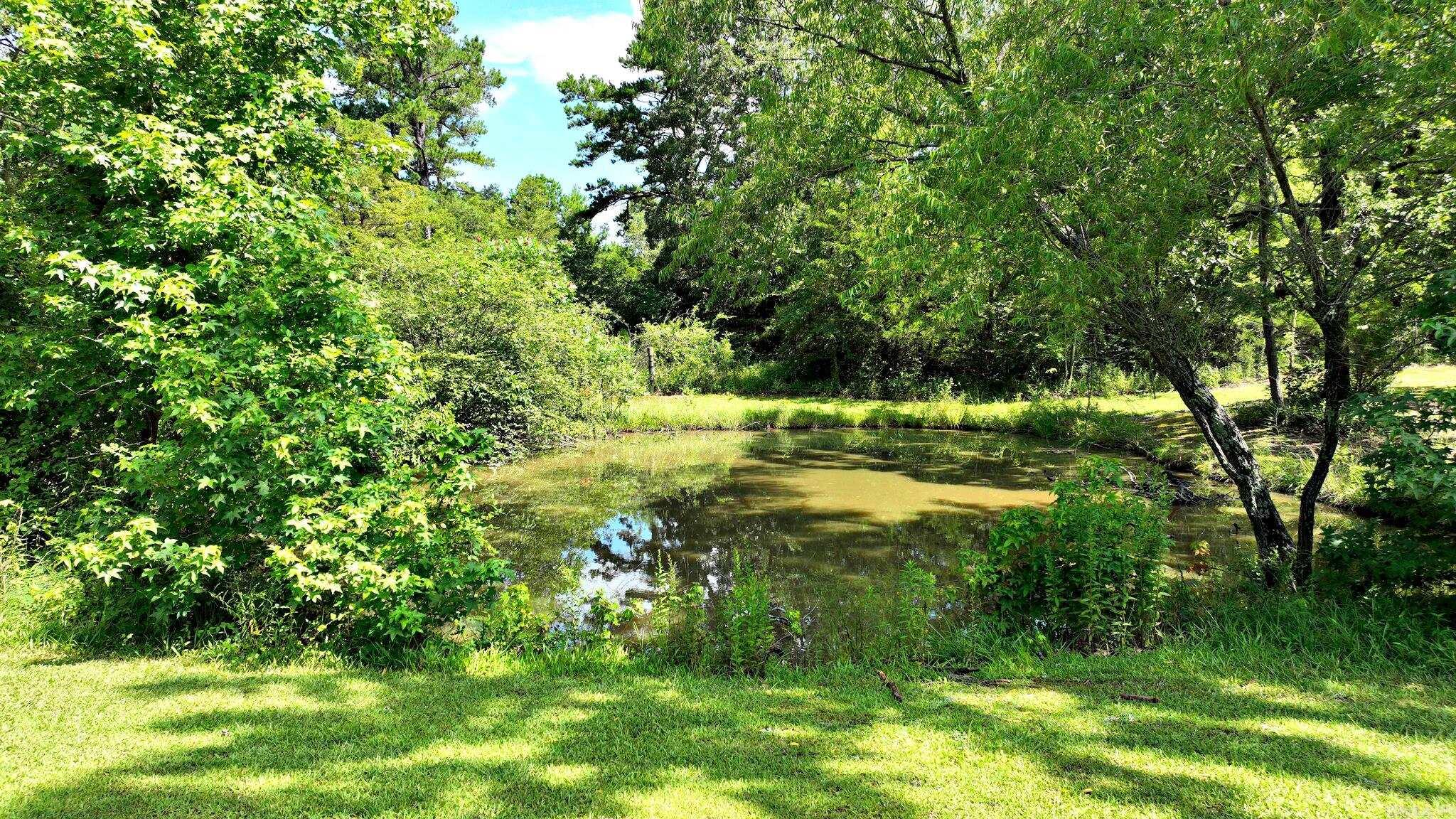 121 Polk Road 286  Hatfield, AR