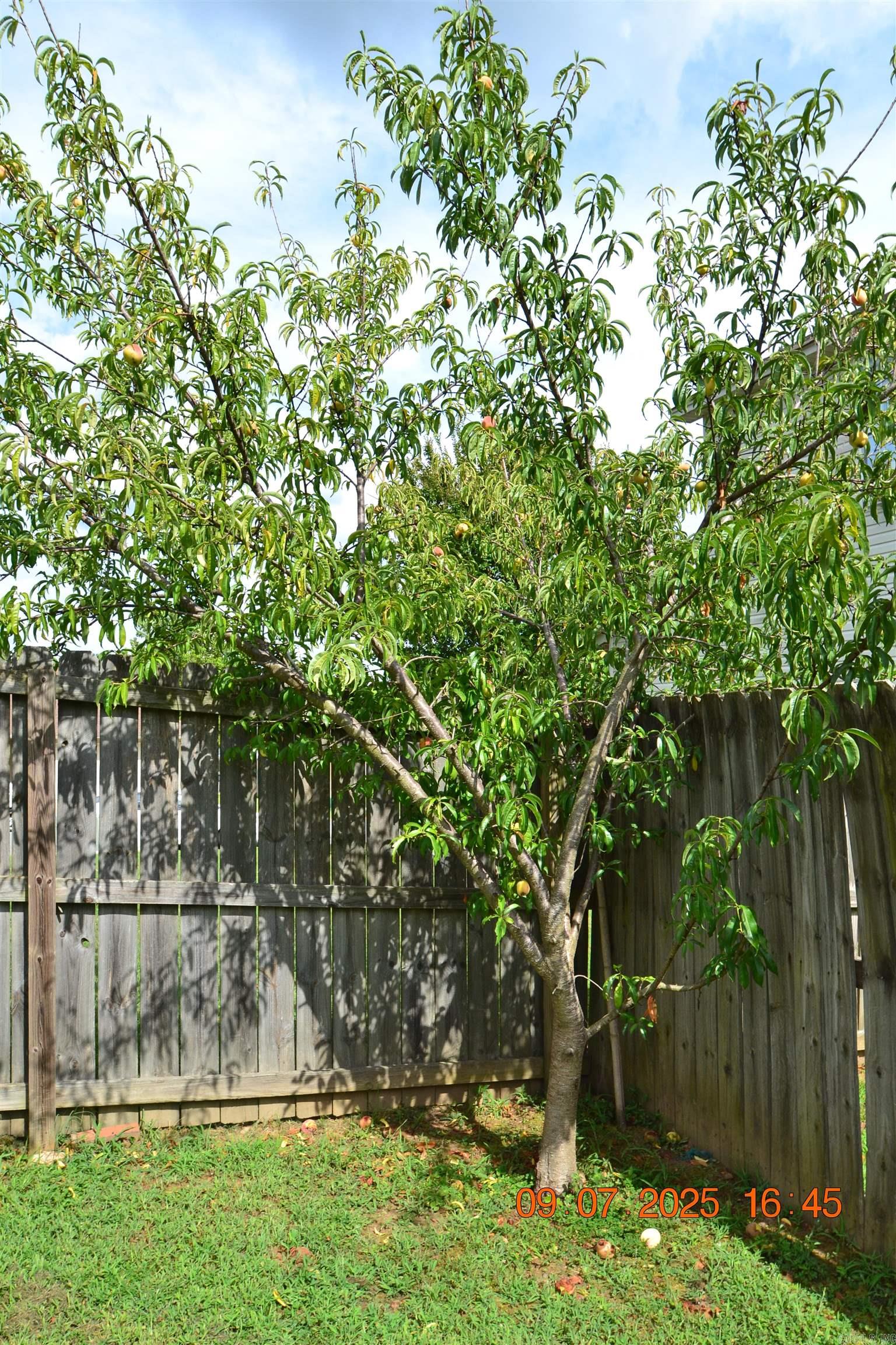 3105 Maggie  Benton, AR