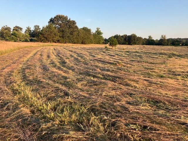 0 Fairview  Salem, AR