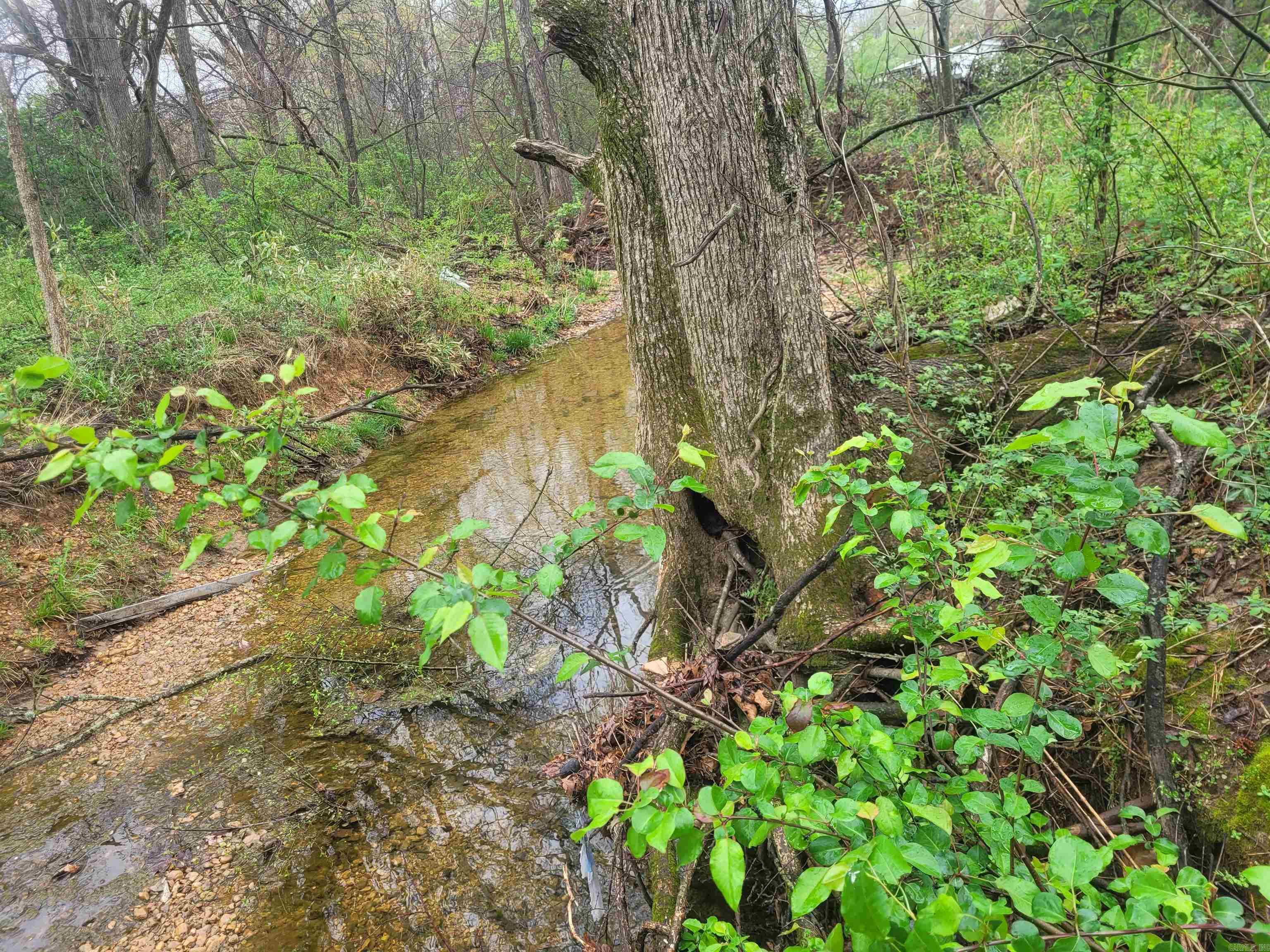 Lot 4 County Road 7922  Brookland, AR