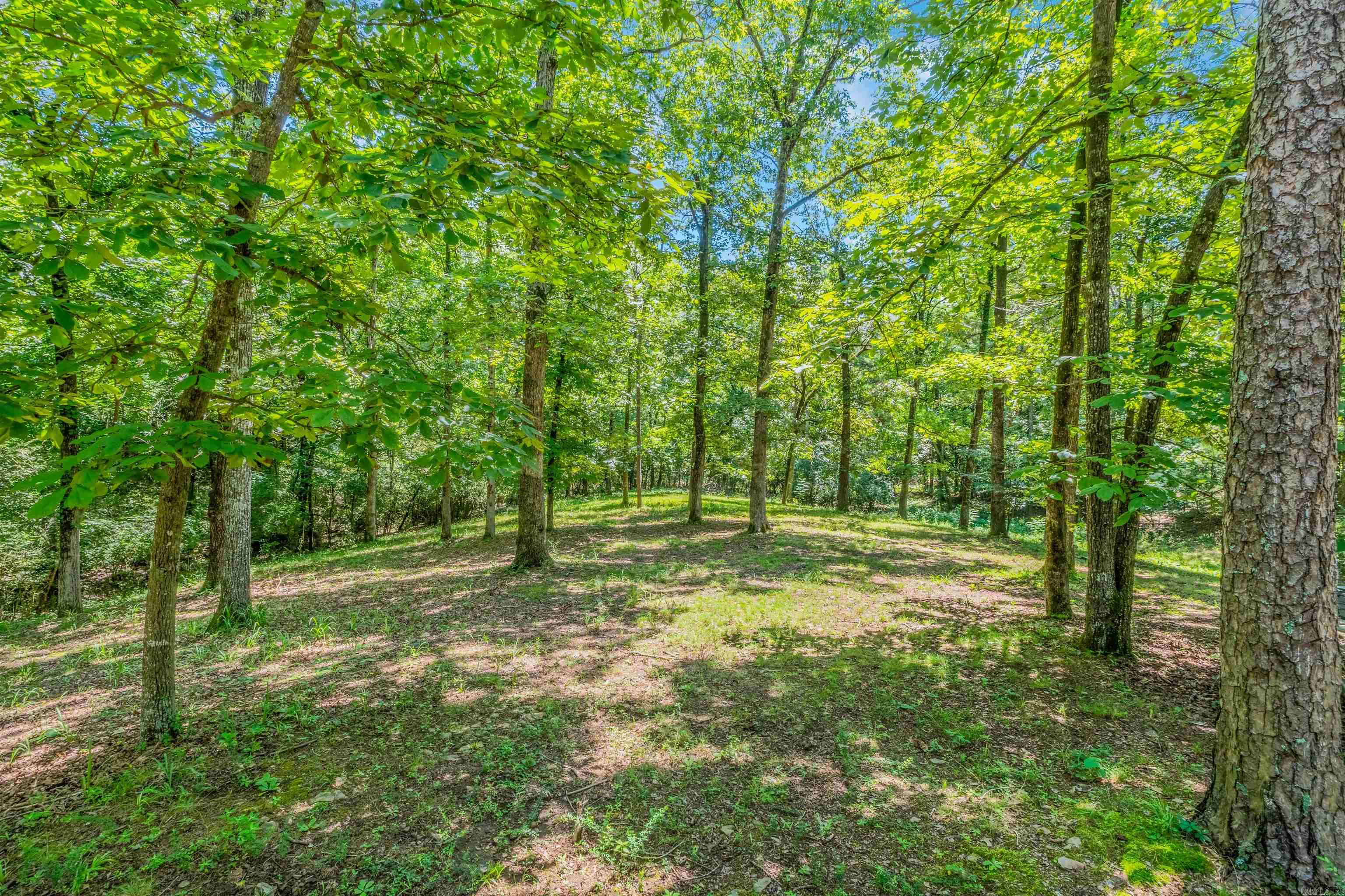 138 Yellowpine  Hot Springs, AR