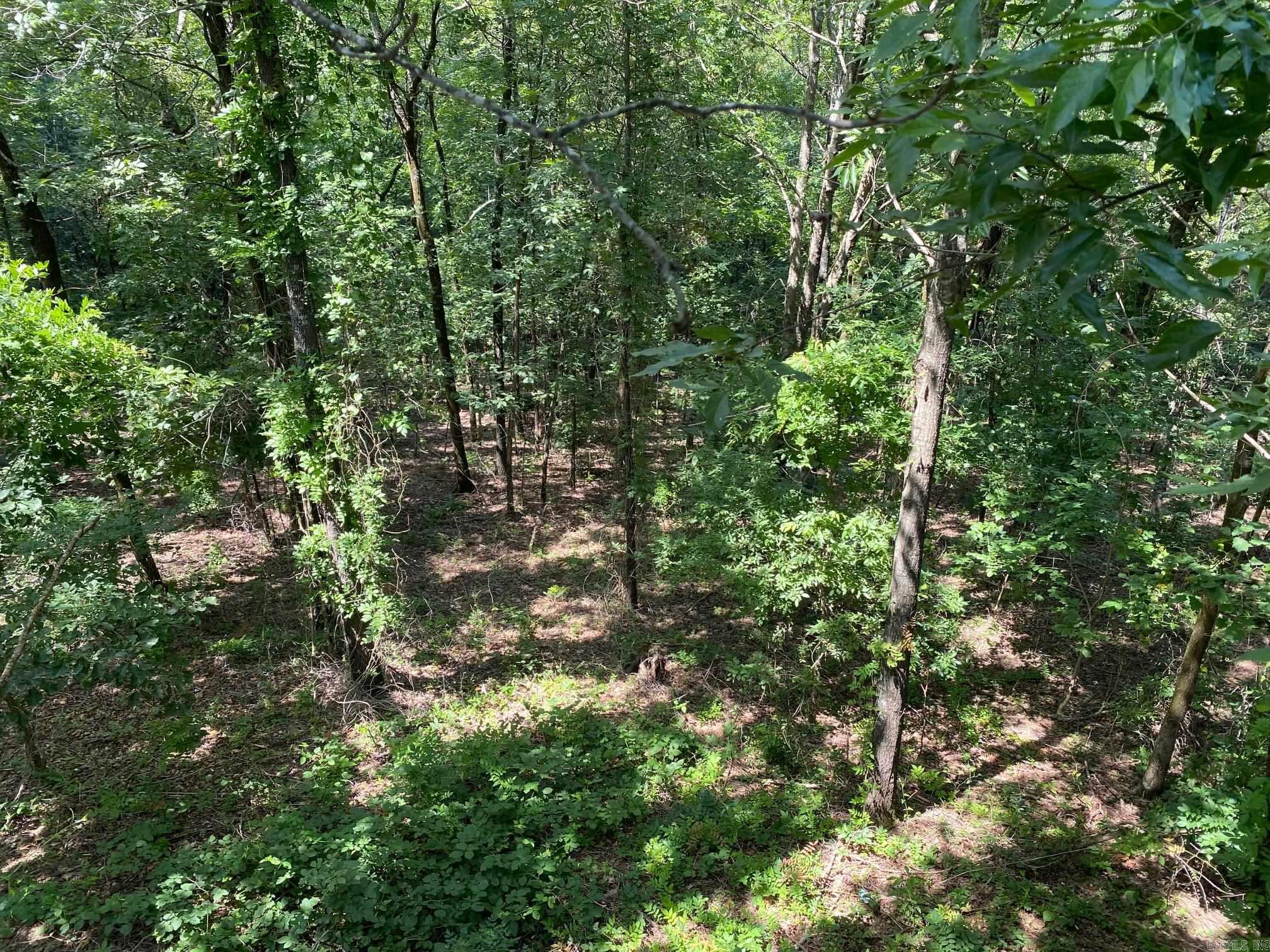 1118 E Carmichael Rd  Cabot, AR