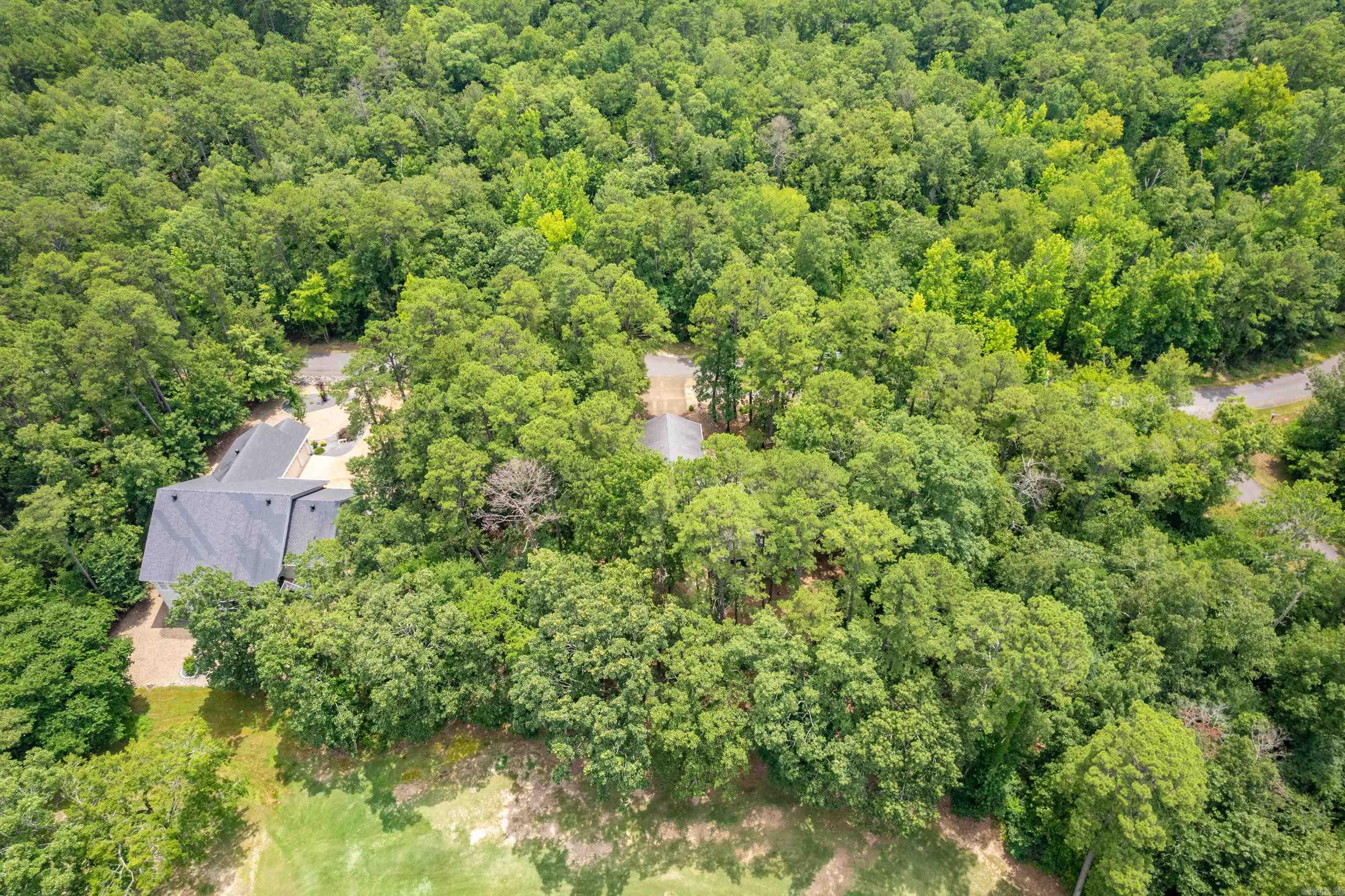 50 San Pablo Way  Hot Springs Village, AR