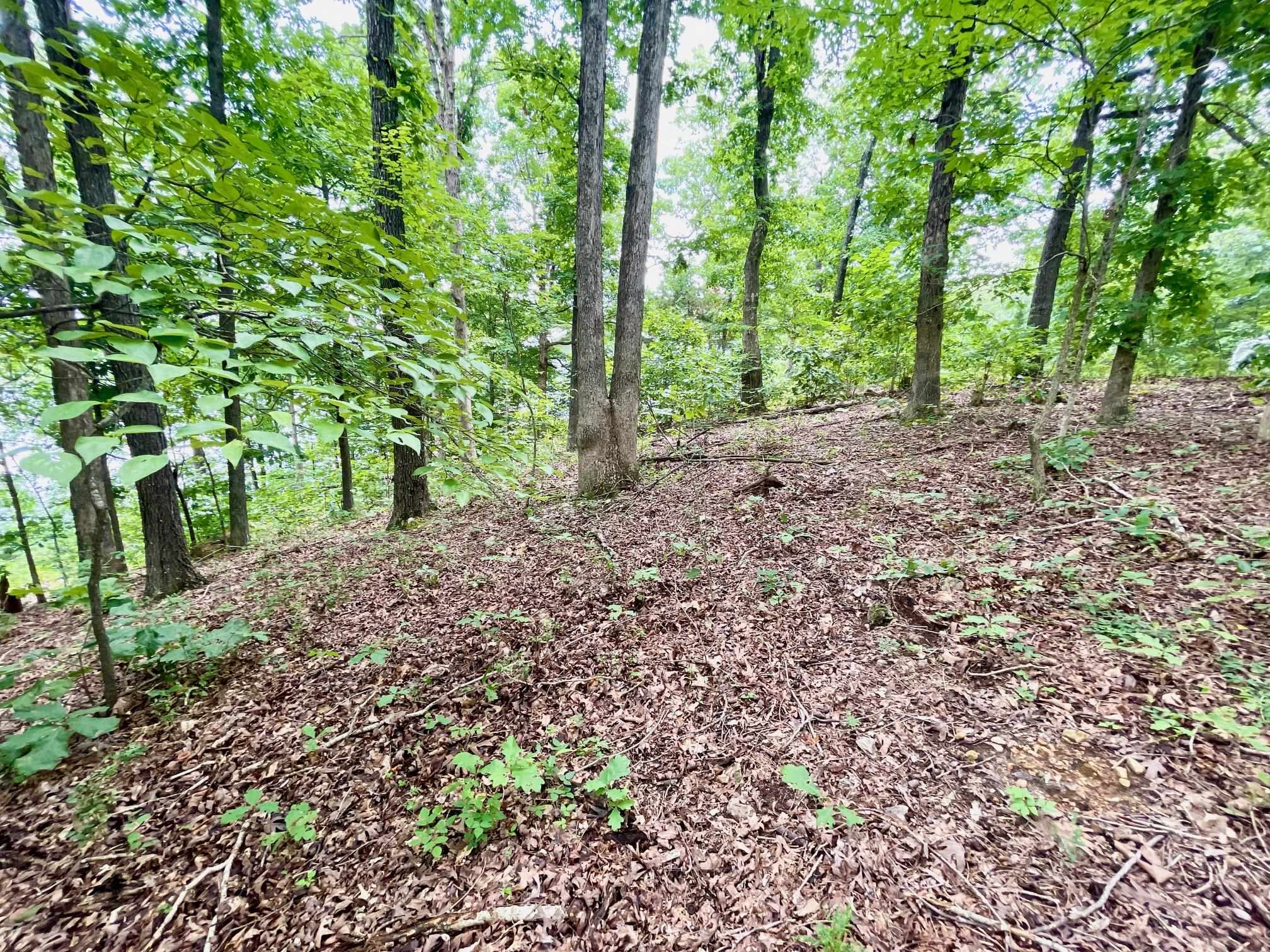 300 Isabella  Horseshoe Bend, AR