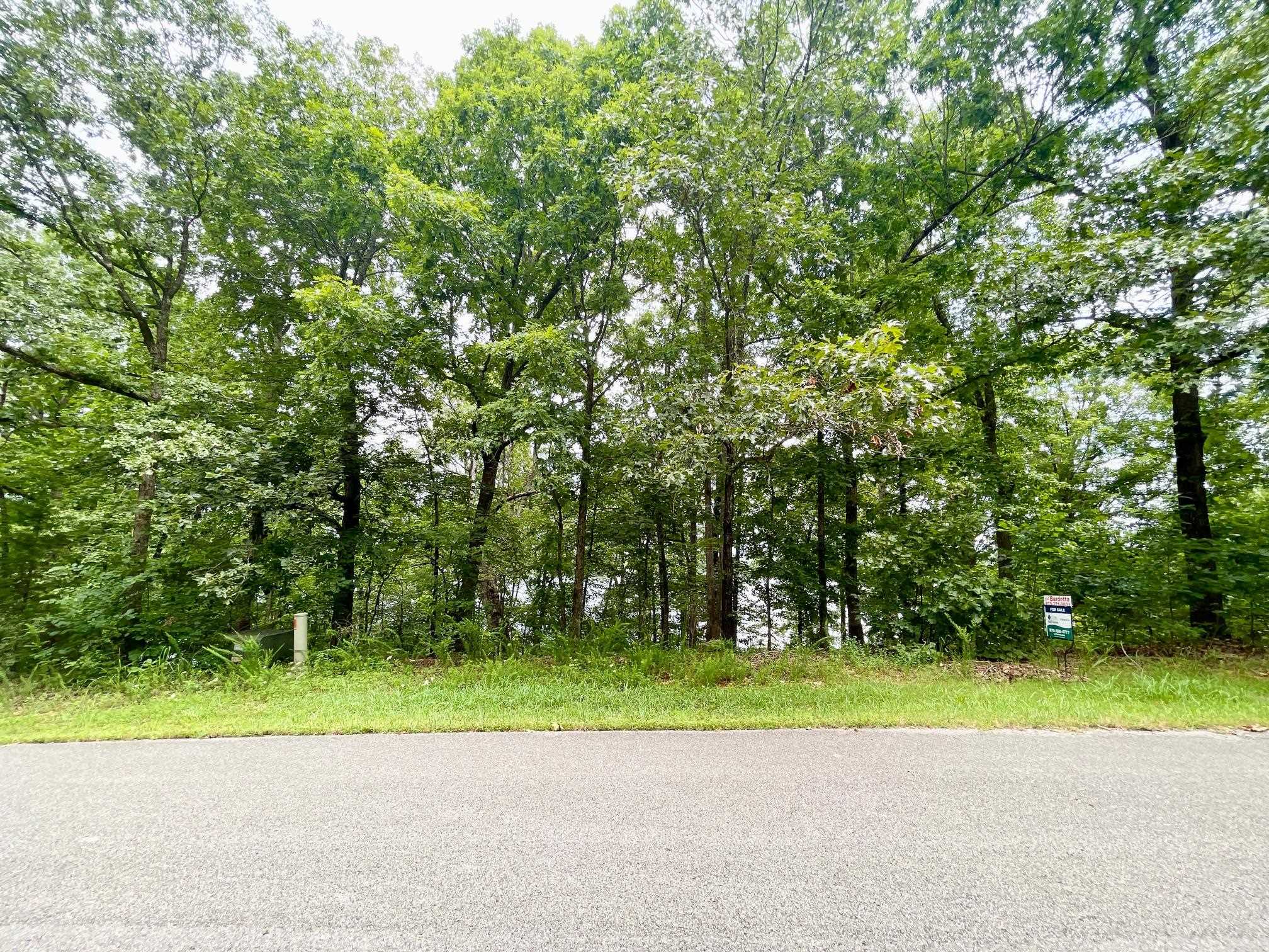 300 Isabella  Horseshoe Bend, AR