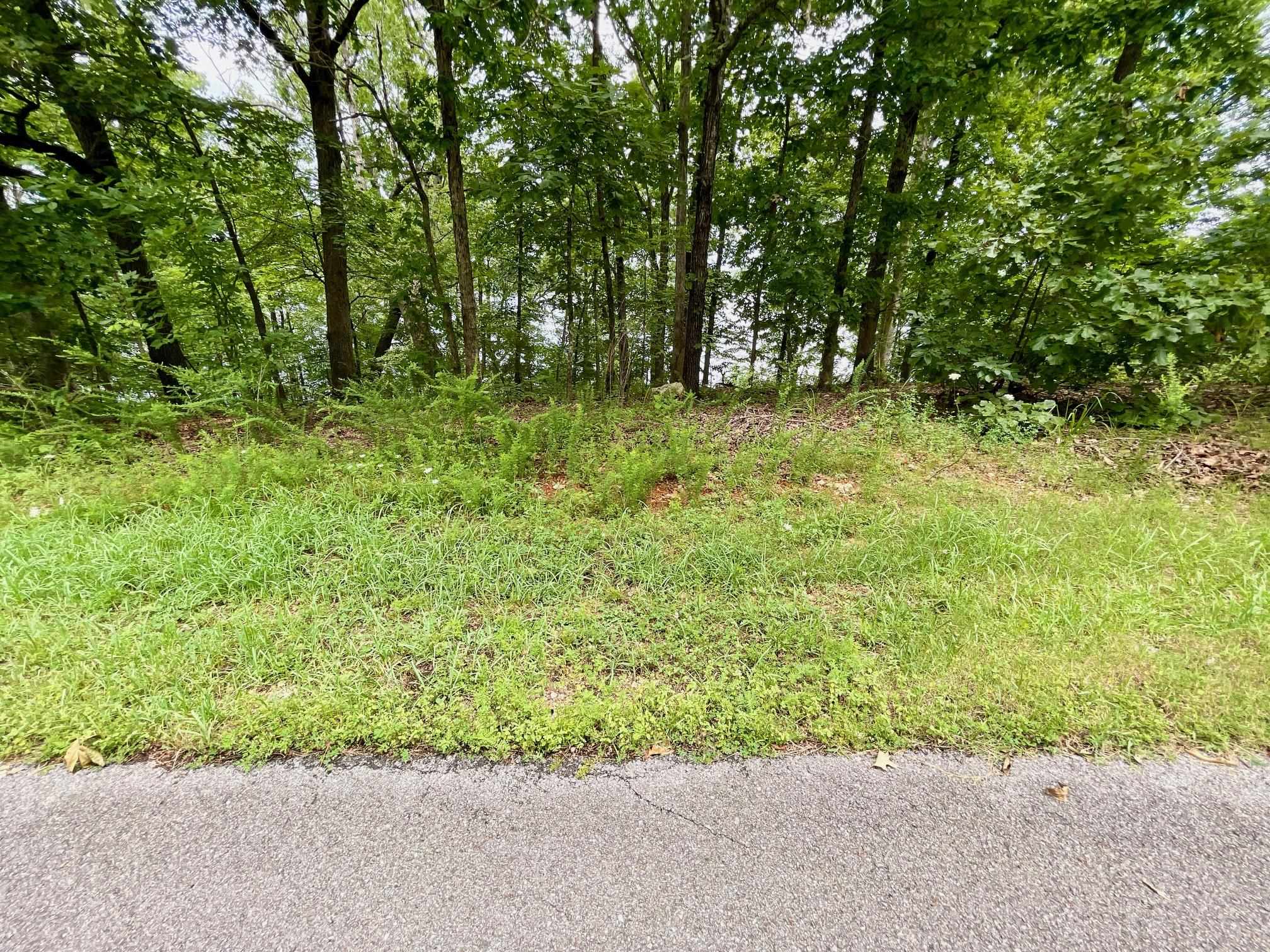 300 Isabella  Horseshoe Bend, AR