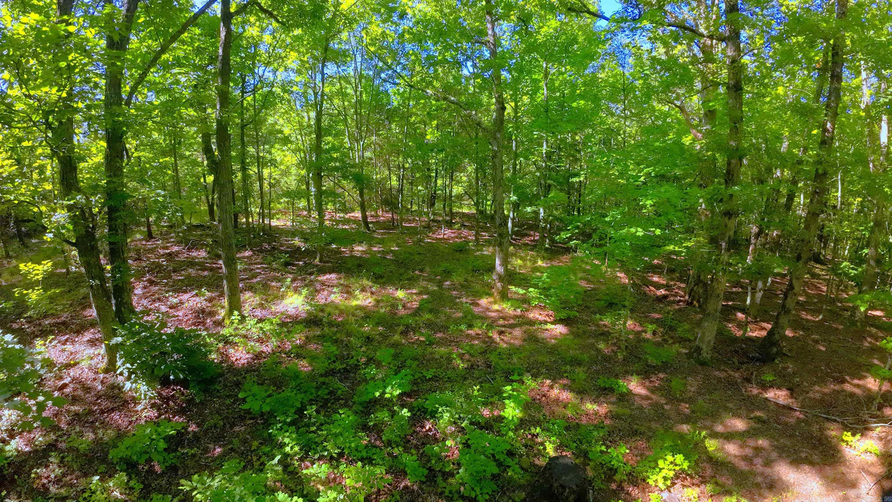 000 FS 1548  Pettigrew, AR