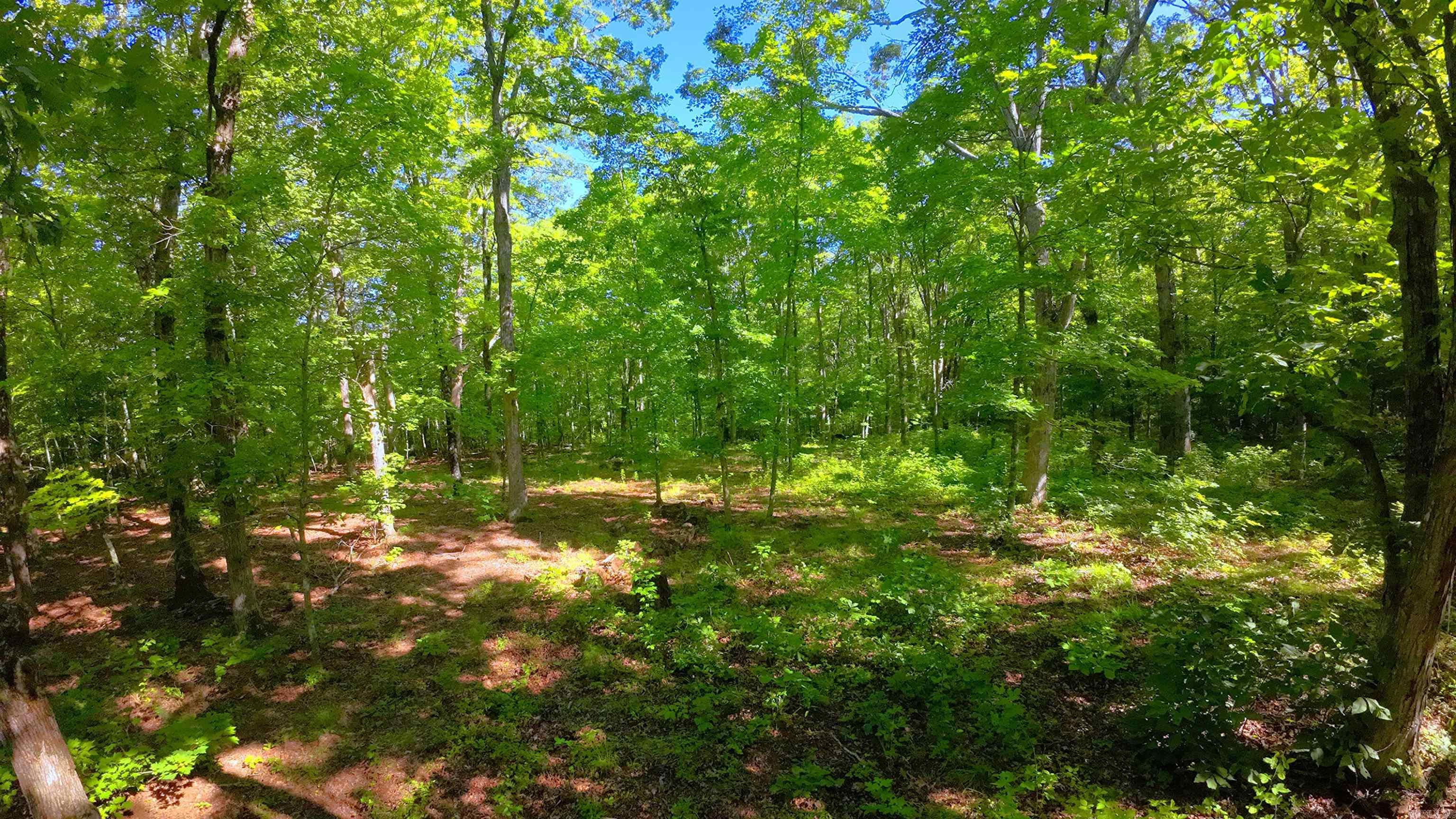000 FS 1548  Pettigrew, AR