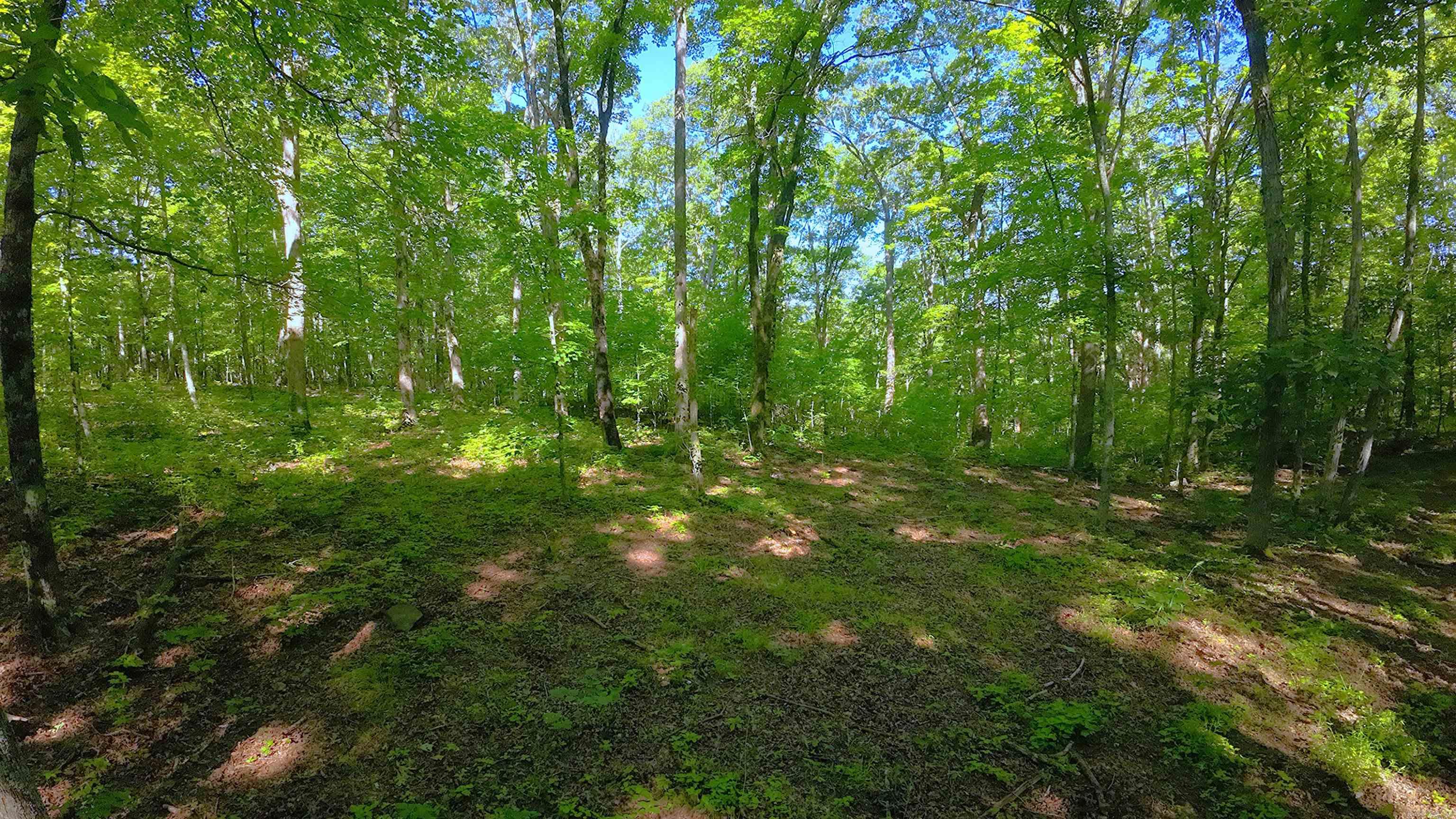 000 FS 1548  Pettigrew, AR