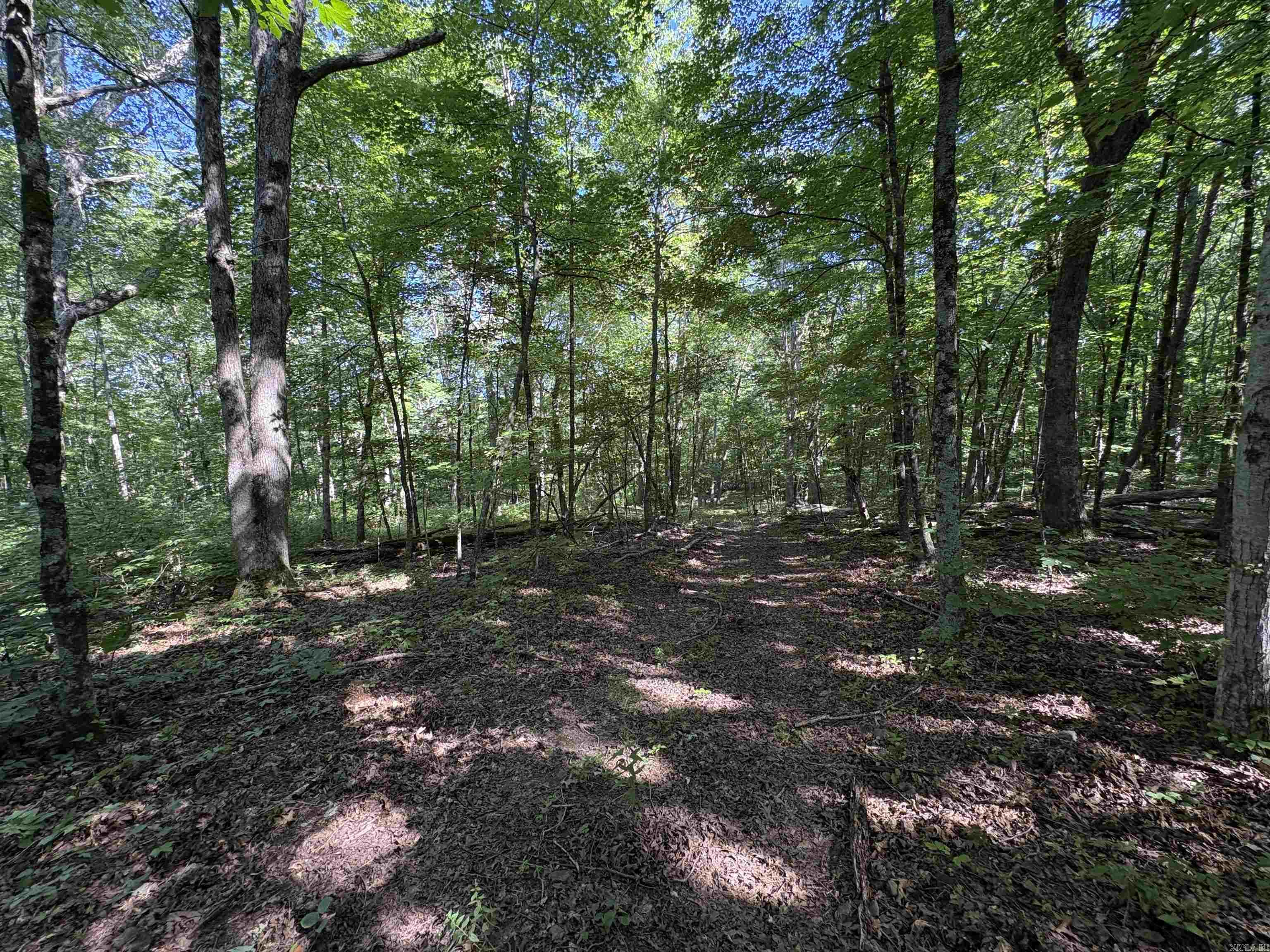 000 FS 1548  Pettigrew, AR