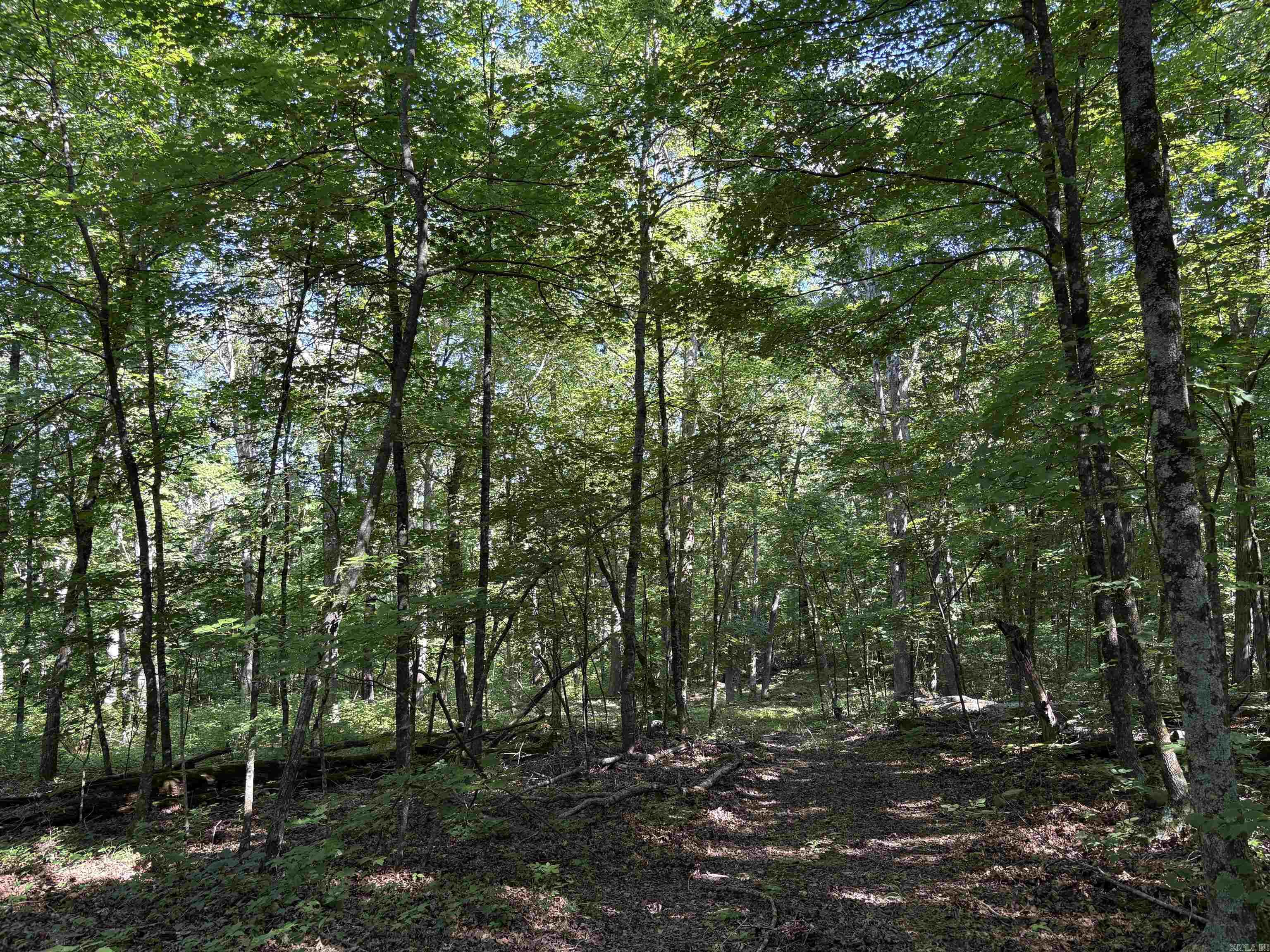 000 FS 1548  Pettigrew, AR