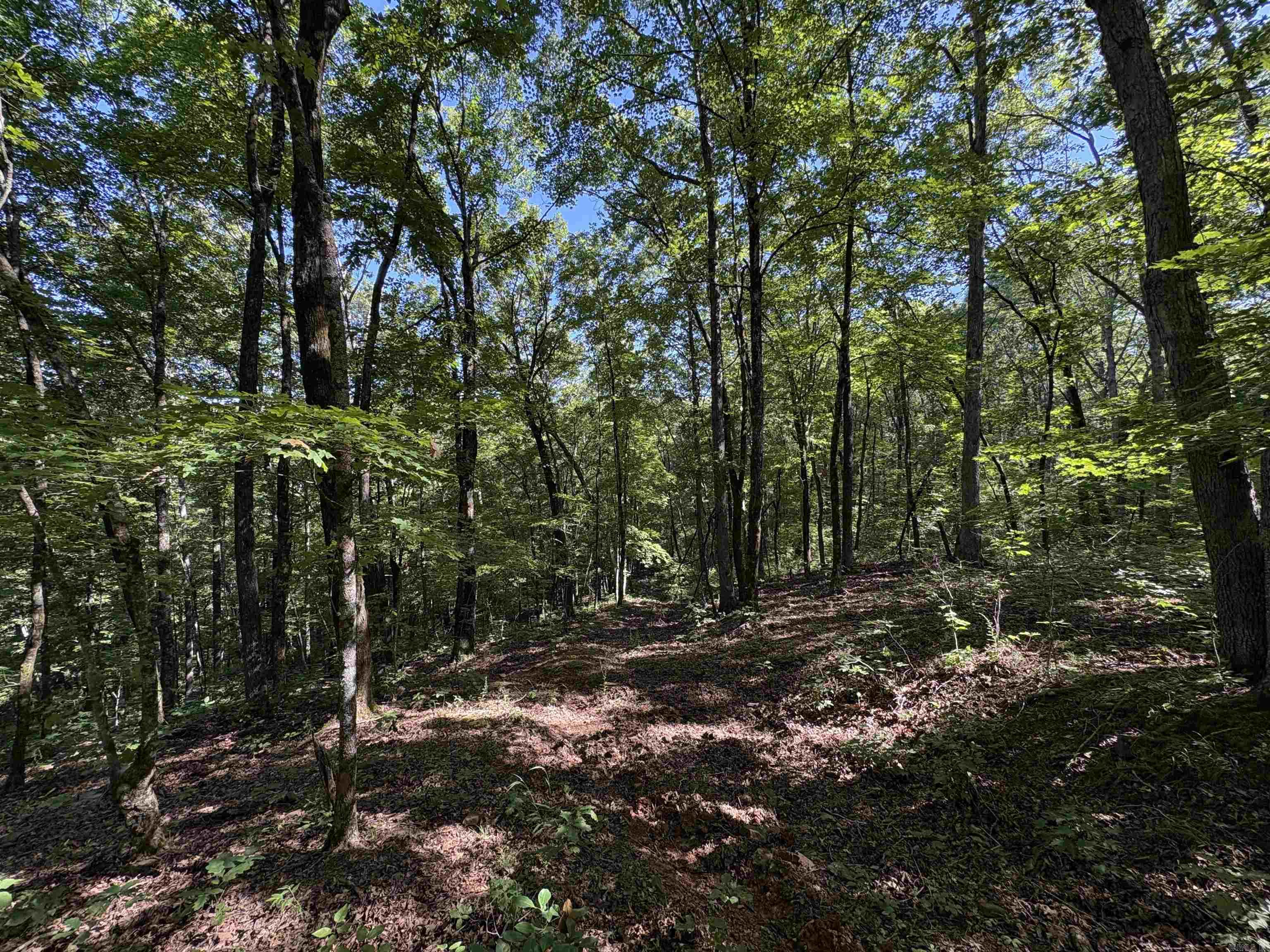000 FS 1548  Pettigrew, AR