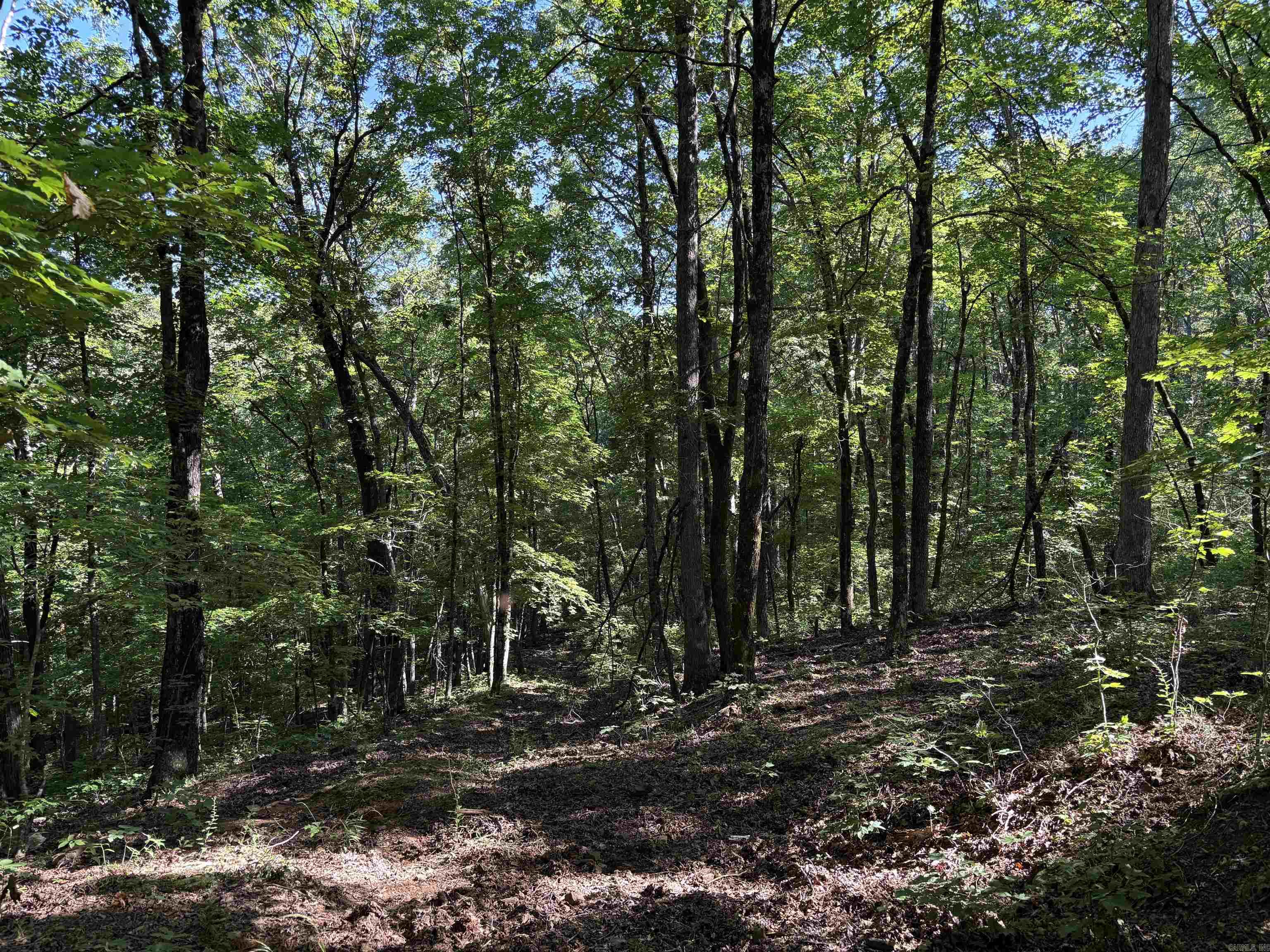 000 FS 1548  Pettigrew, AR