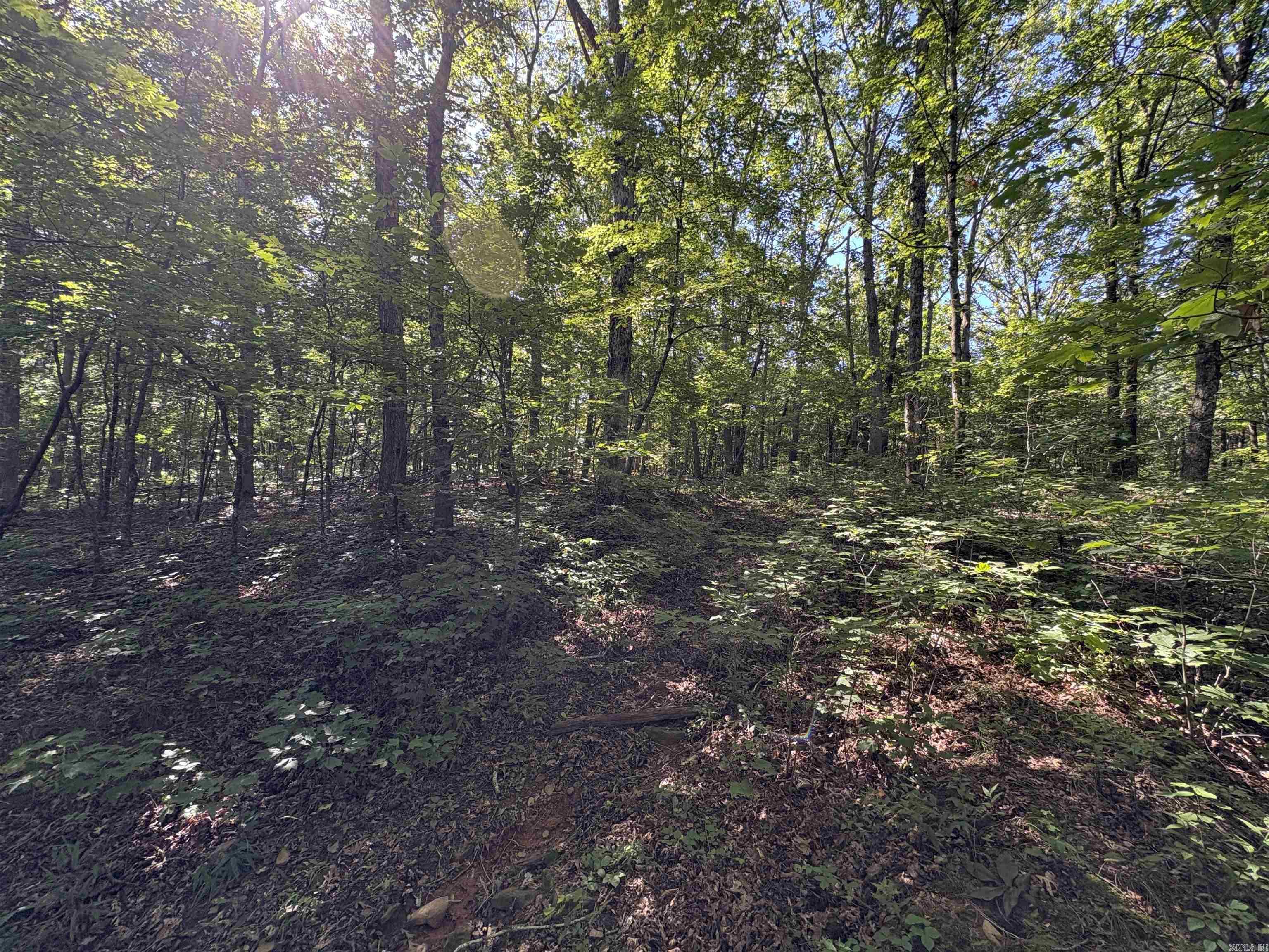 000 FS 1548  Pettigrew, AR