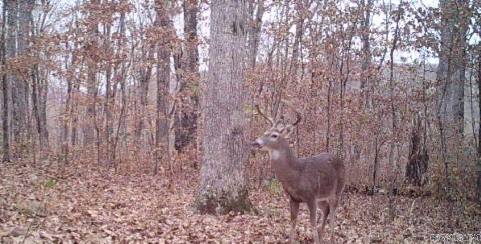 000 FS 1548  Pettigrew, AR