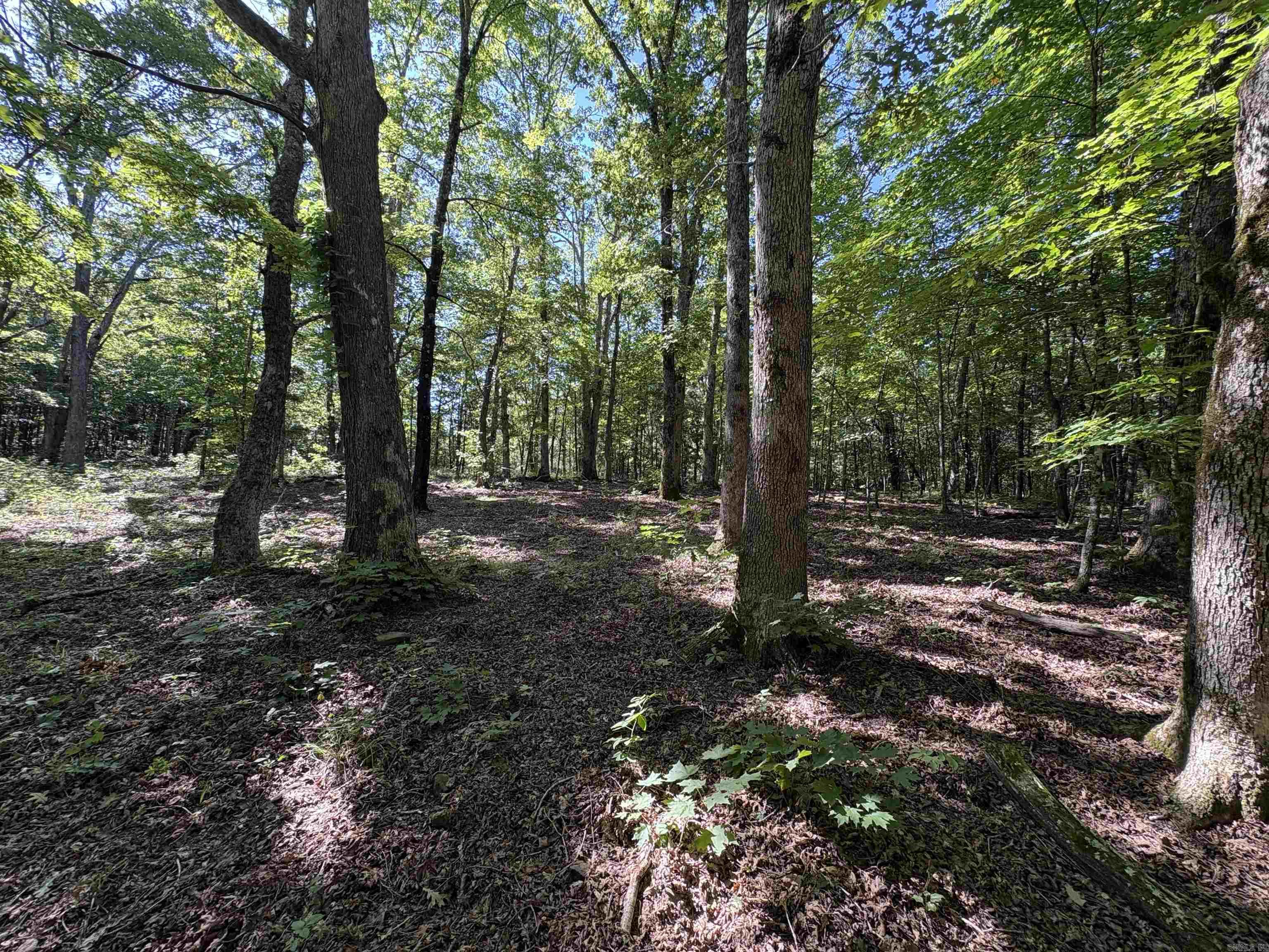 000 FS 1548  Pettigrew, AR