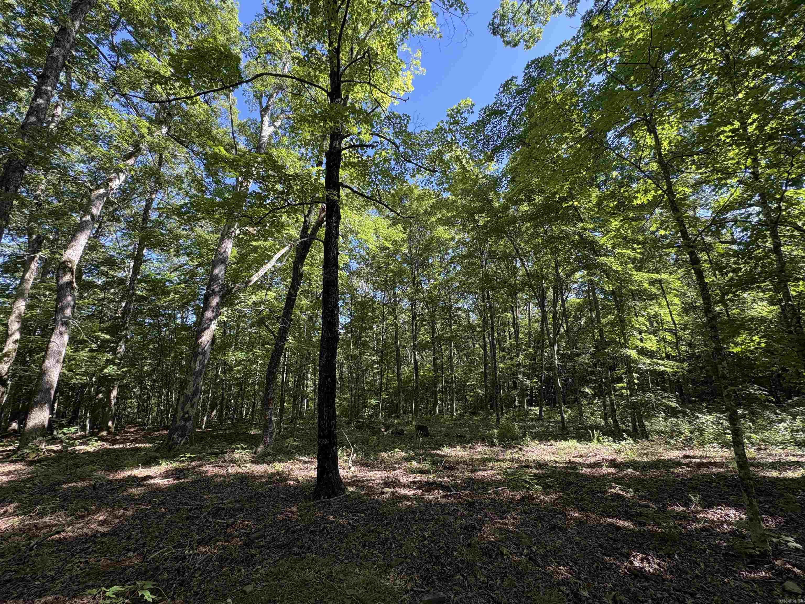 000 FS 1548  Pettigrew, AR