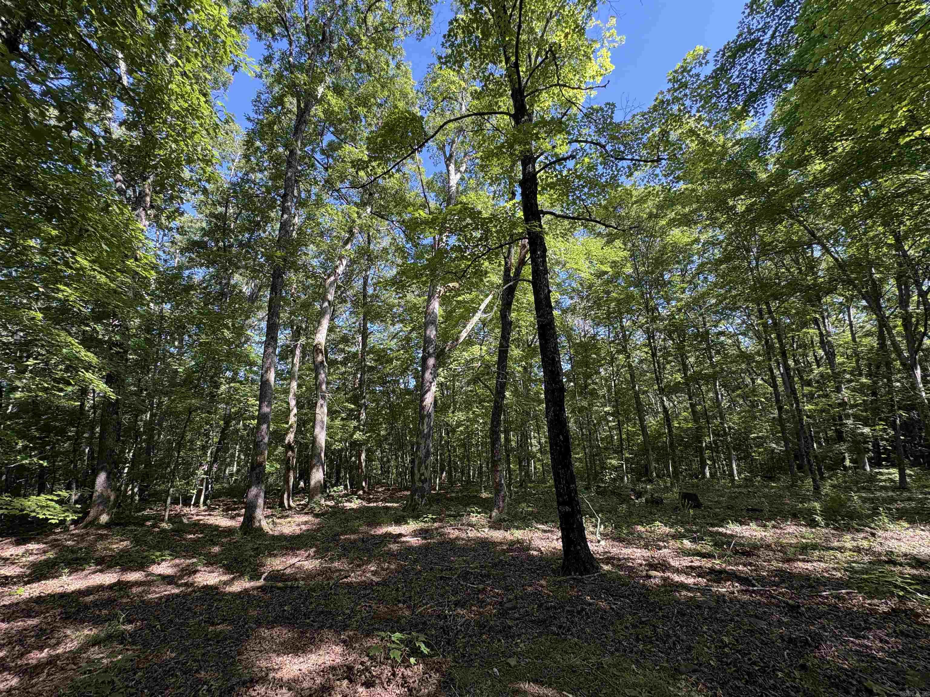 000 FS 1548  Pettigrew, AR