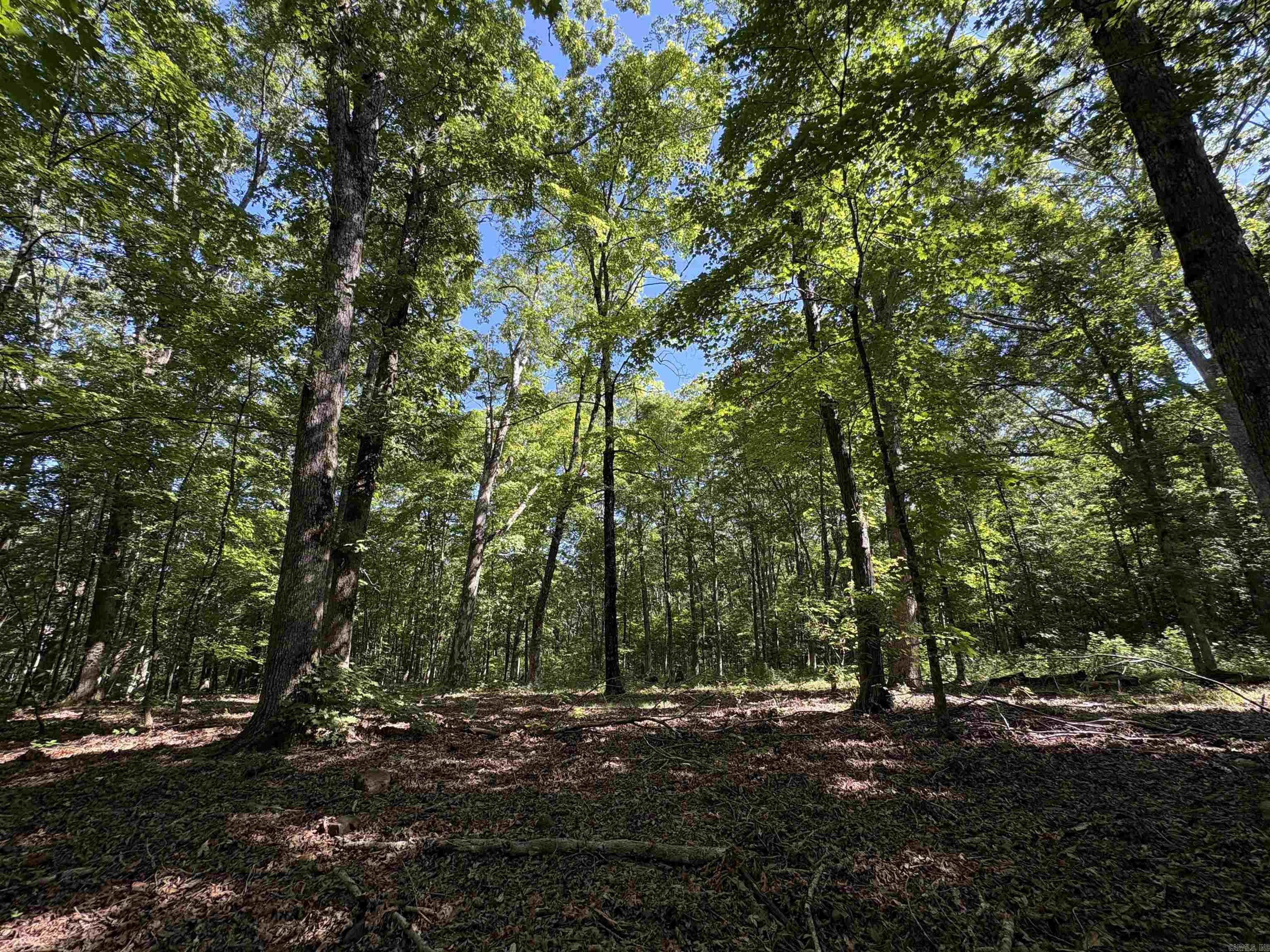 000 FS 1548  Pettigrew, AR