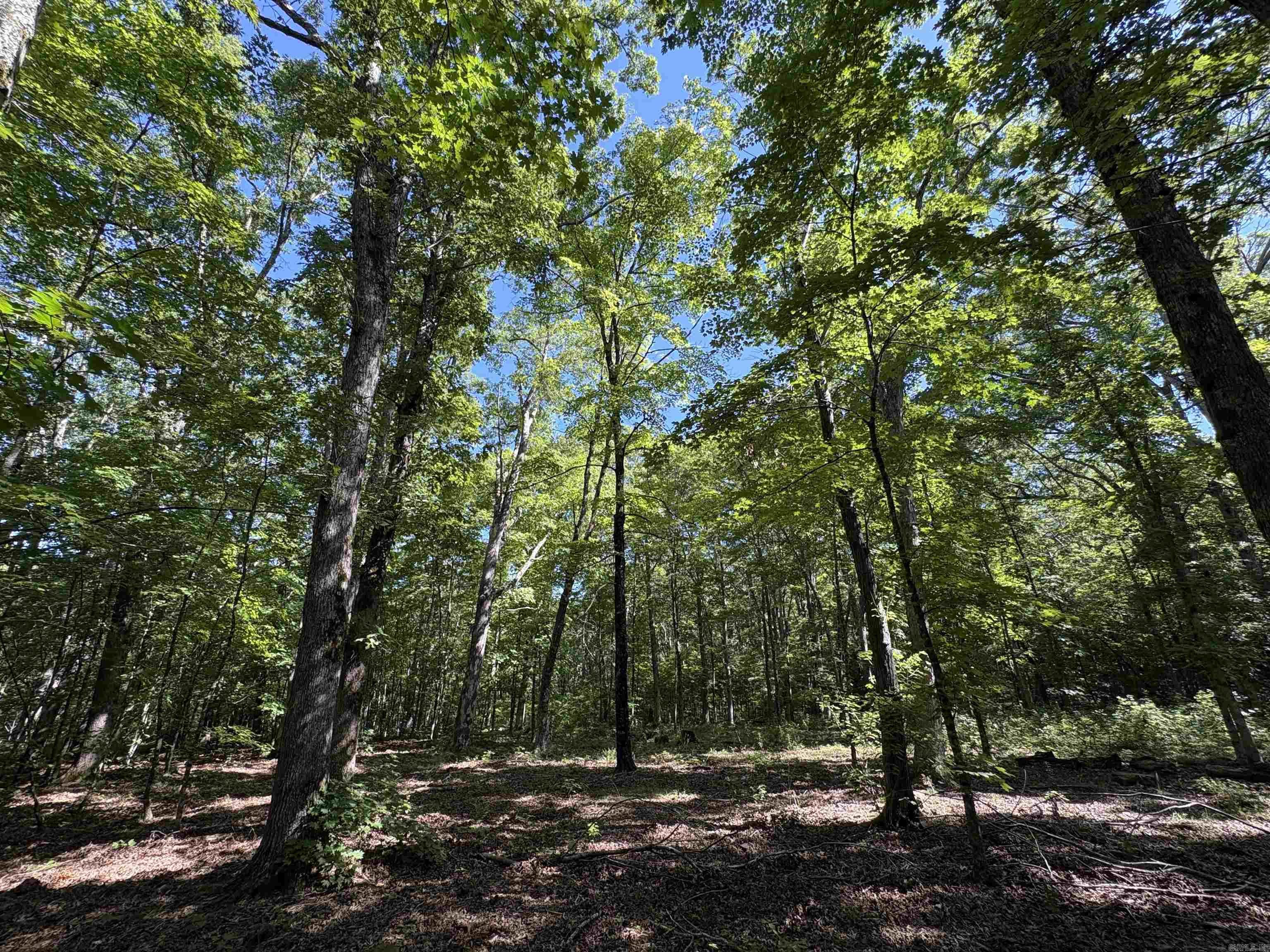 000 FS 1548  Pettigrew, AR