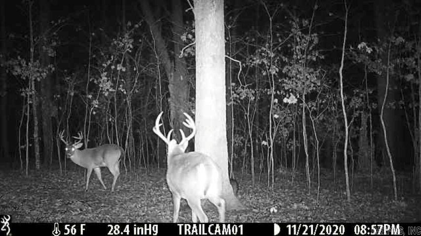 000 FS 1548  Pettigrew, AR