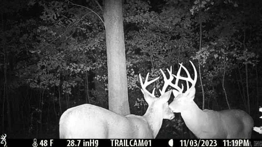 000 FS 1548  Pettigrew, AR