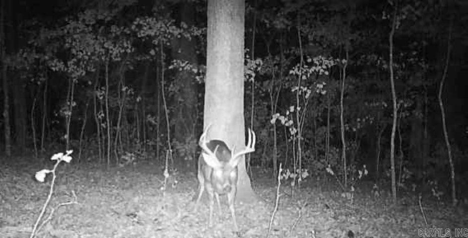000 FS 1548  Pettigrew, AR