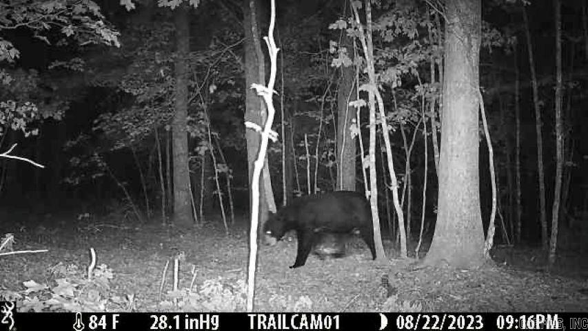 000 FS 1548  Pettigrew, AR