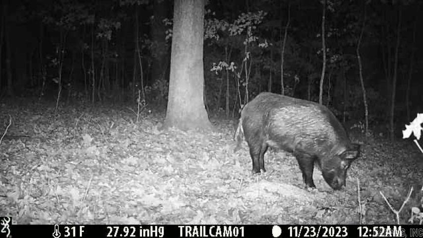 000 FS 1548  Pettigrew, AR