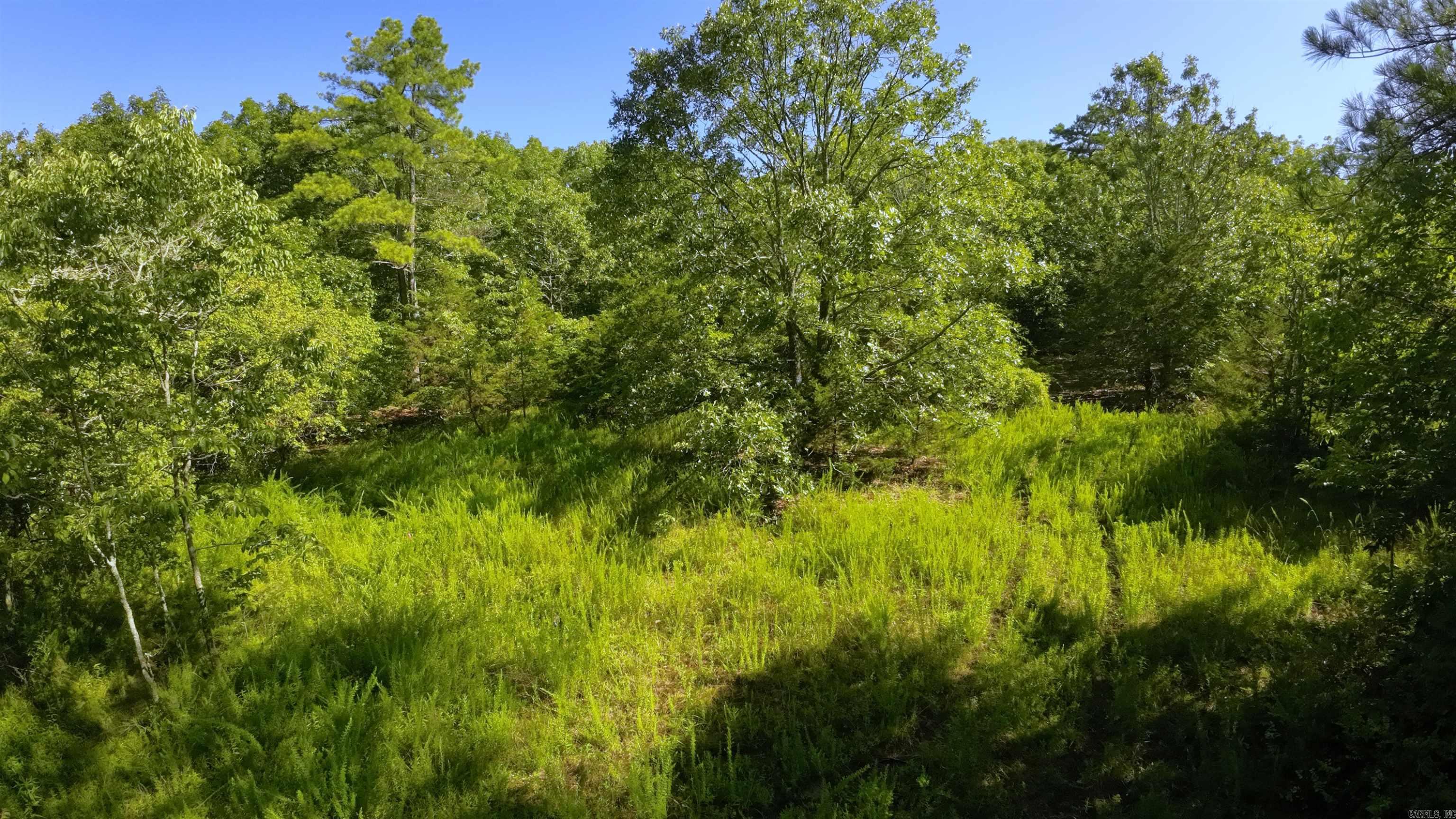 000 FS 1548  Pettigrew, AR