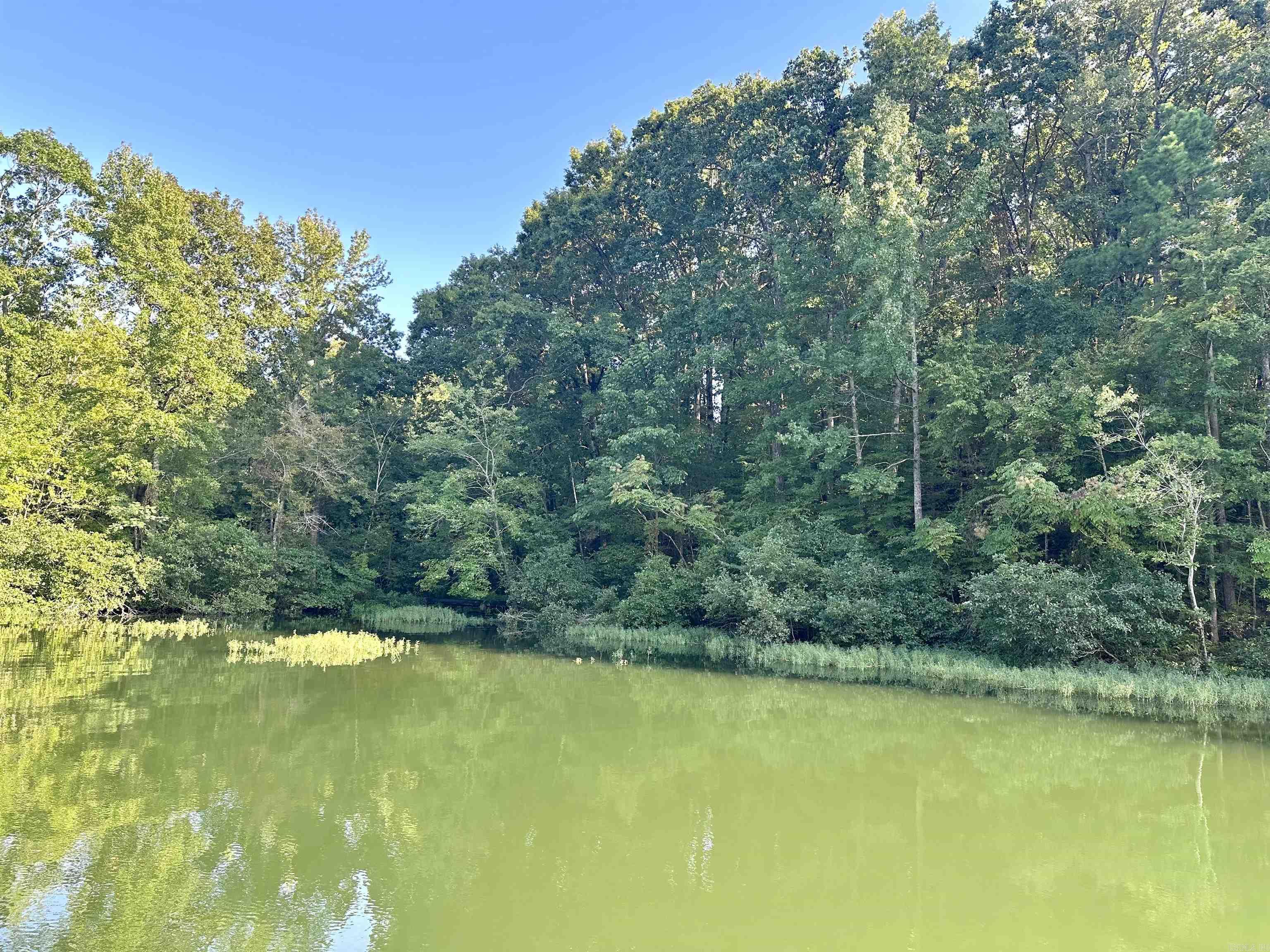 15 Delavaga  Hot Springs Village, AR