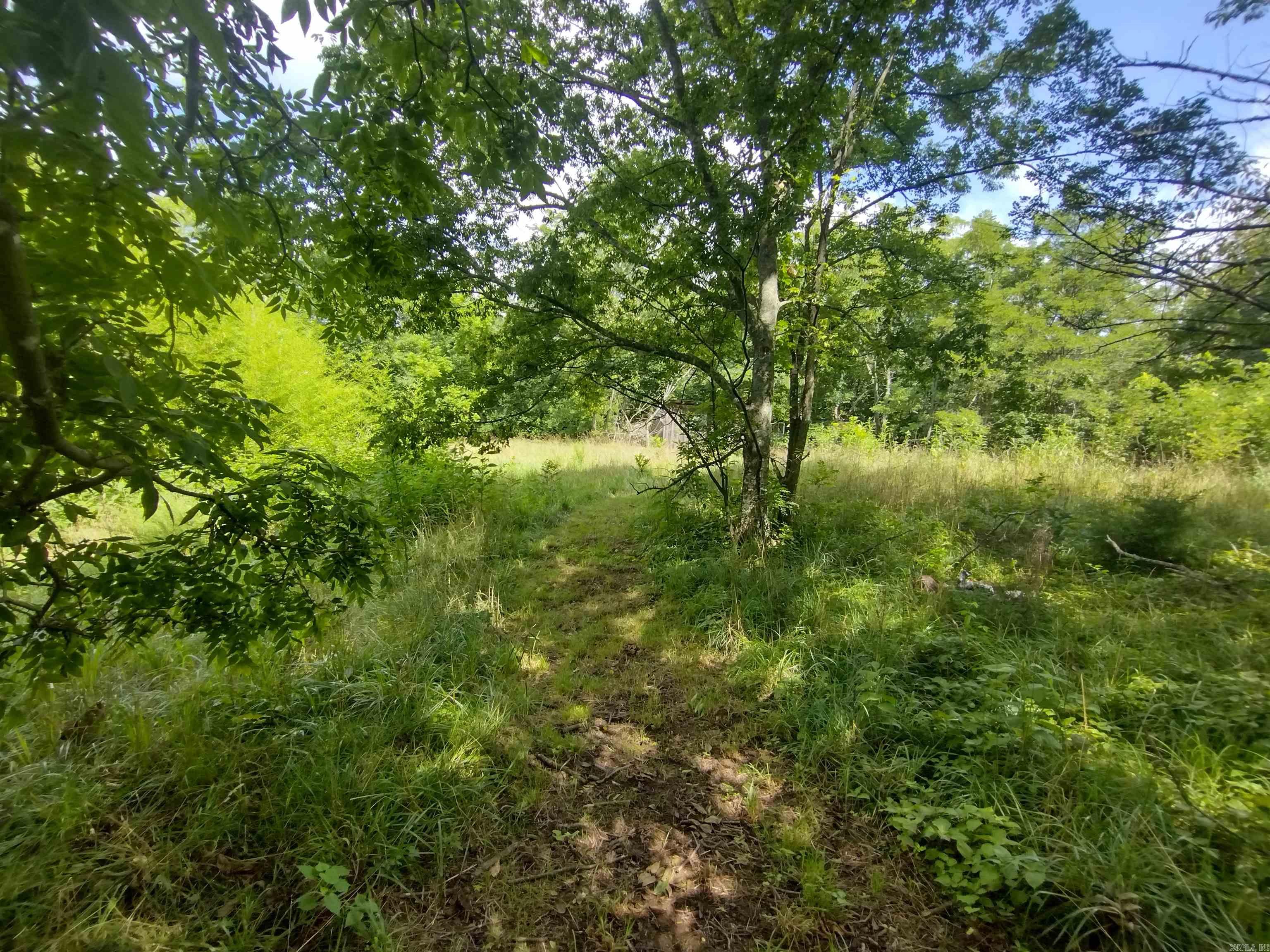 970 Branscum LP  Timbo, AR