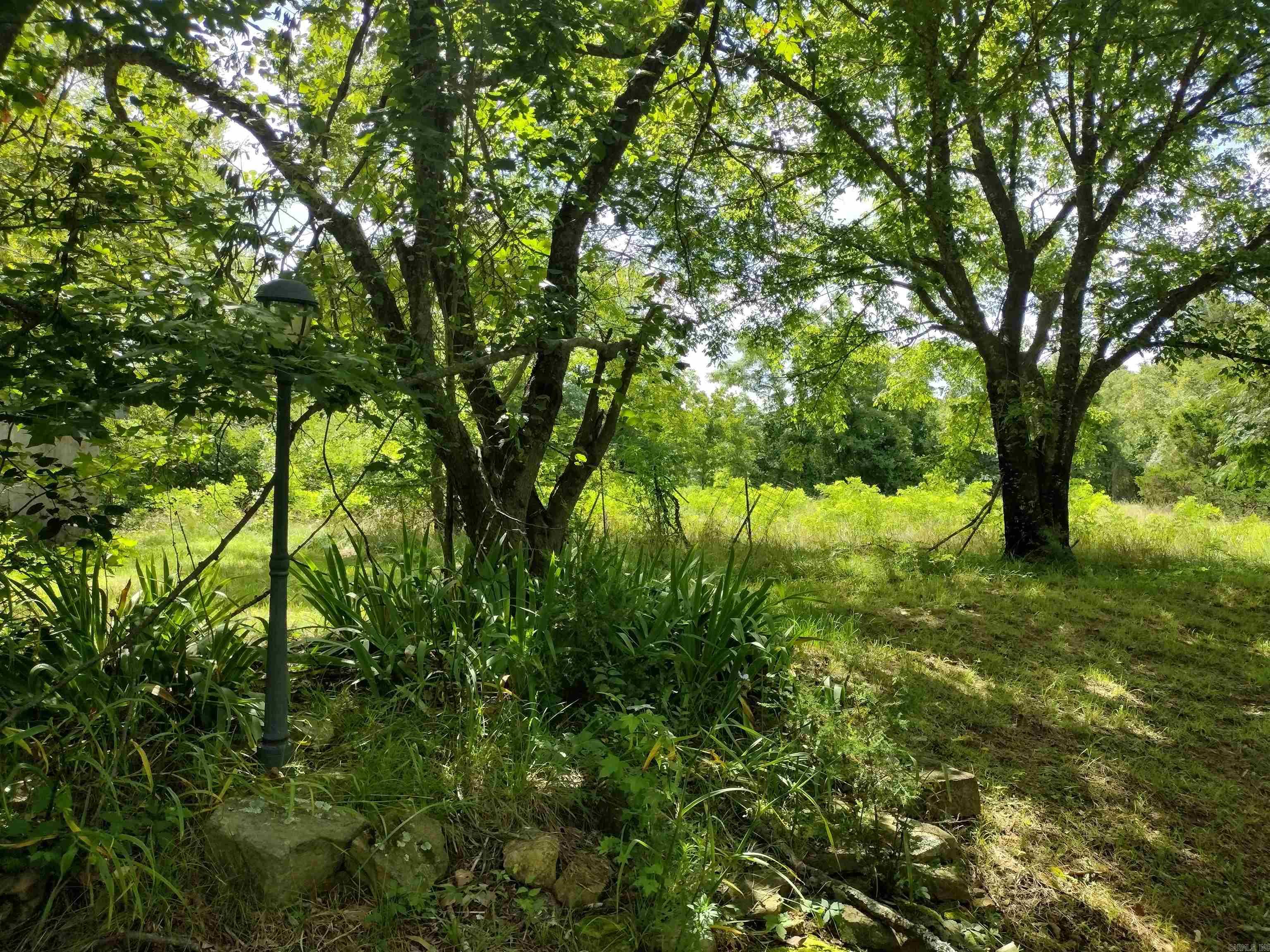 970 Branscum LP  Timbo, AR