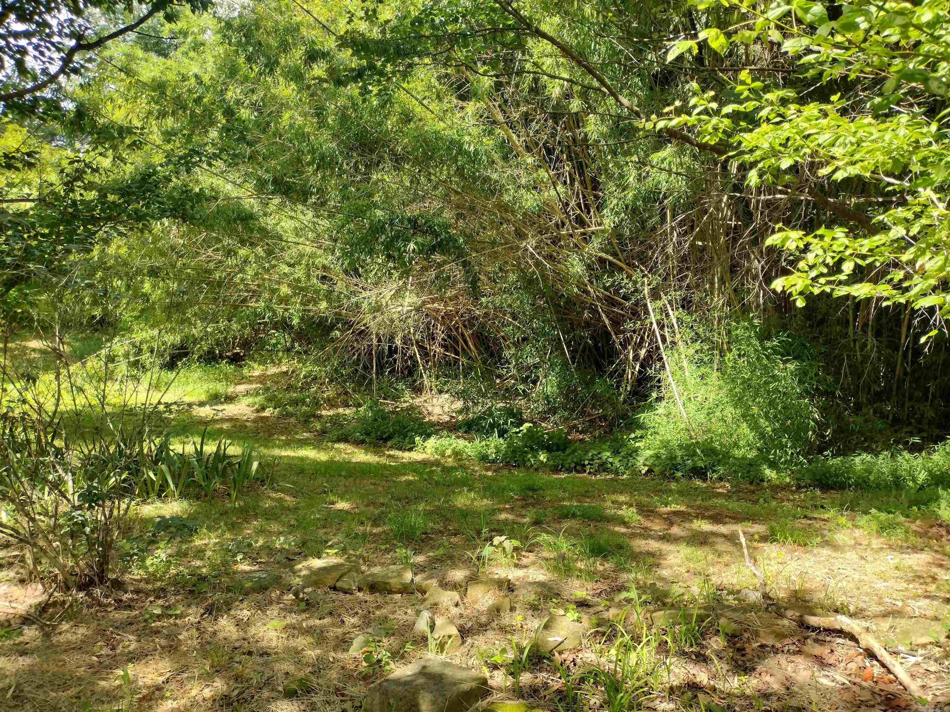 970 Branscum LP  Timbo, AR