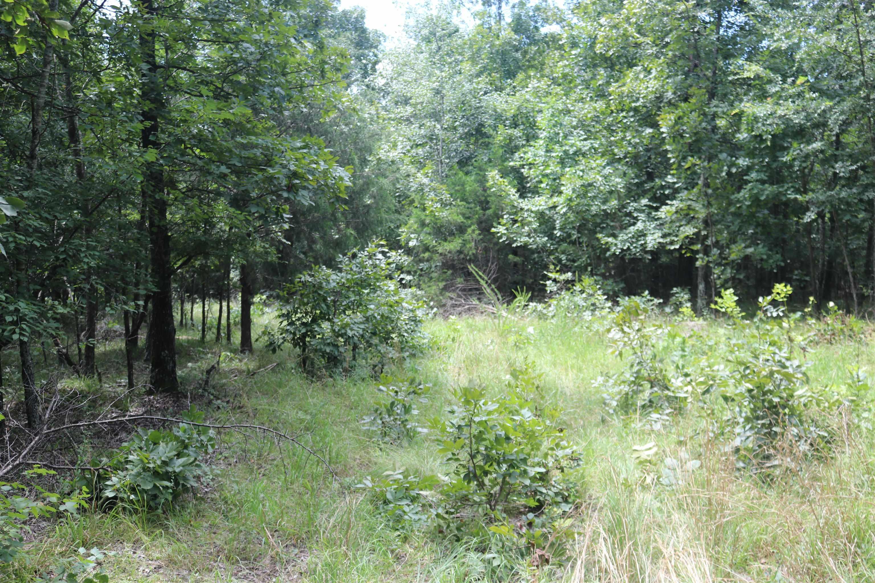  Sunnyland  Mountain View, AR