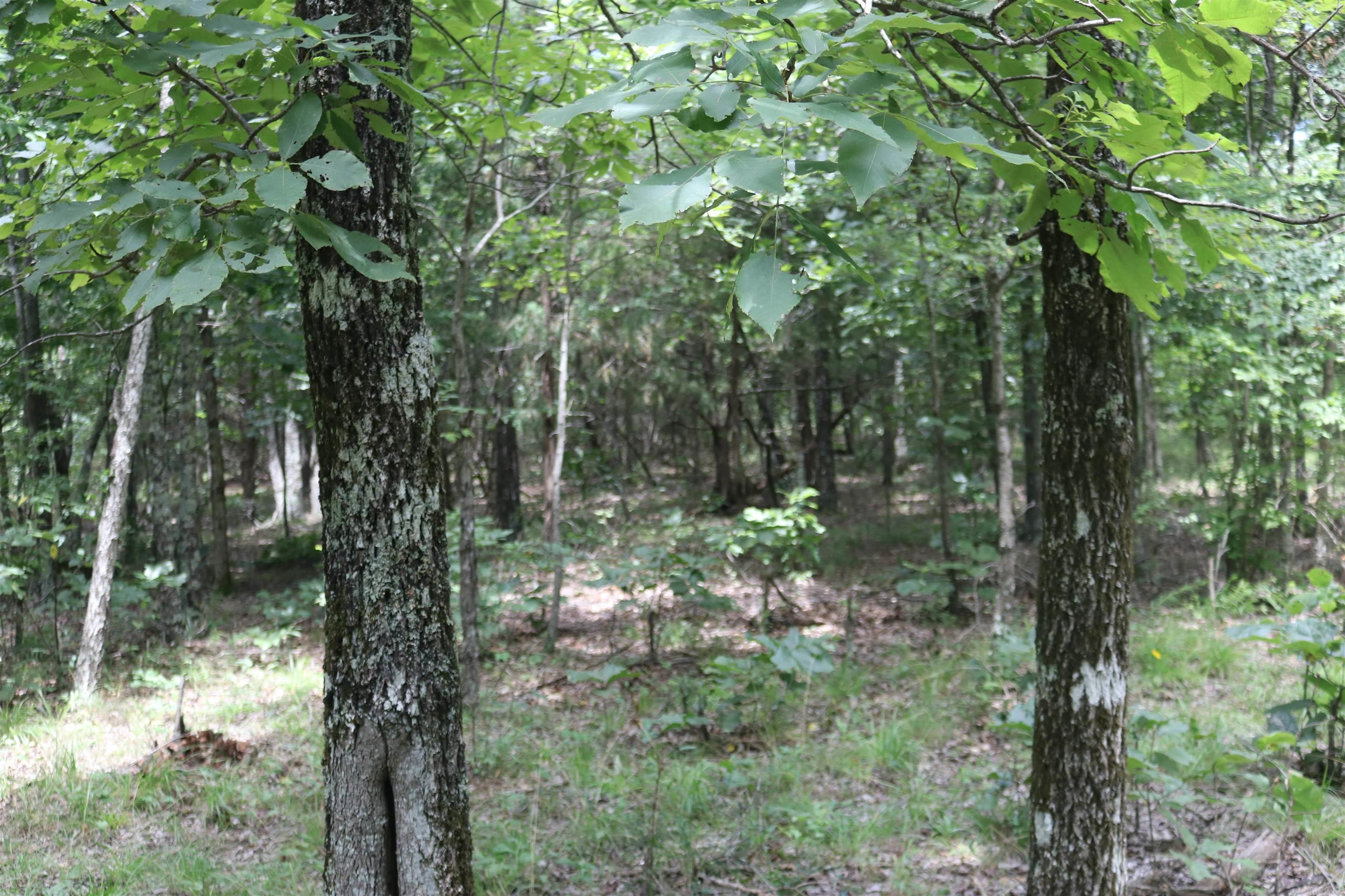  Sunnyland  Mountain View, AR