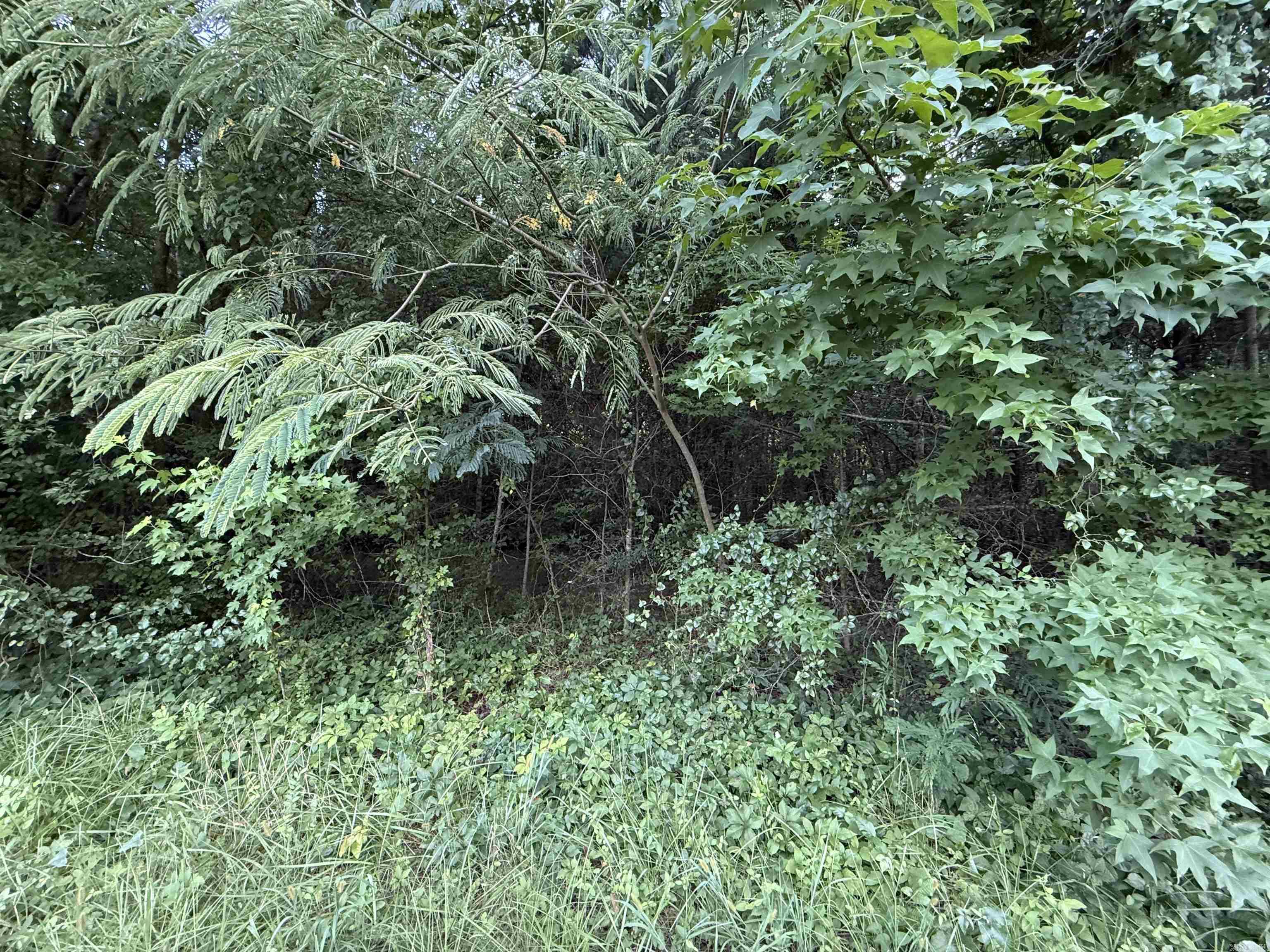 00 Moountain Pine  Hot Springs, AR