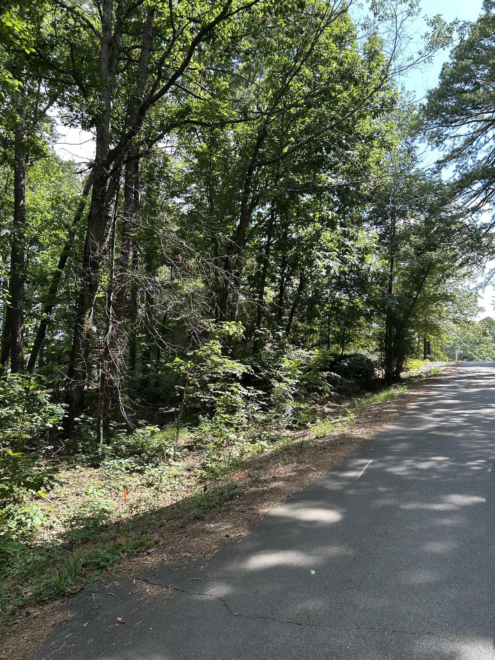 17 Ensenada  Hot Springs Village, AR