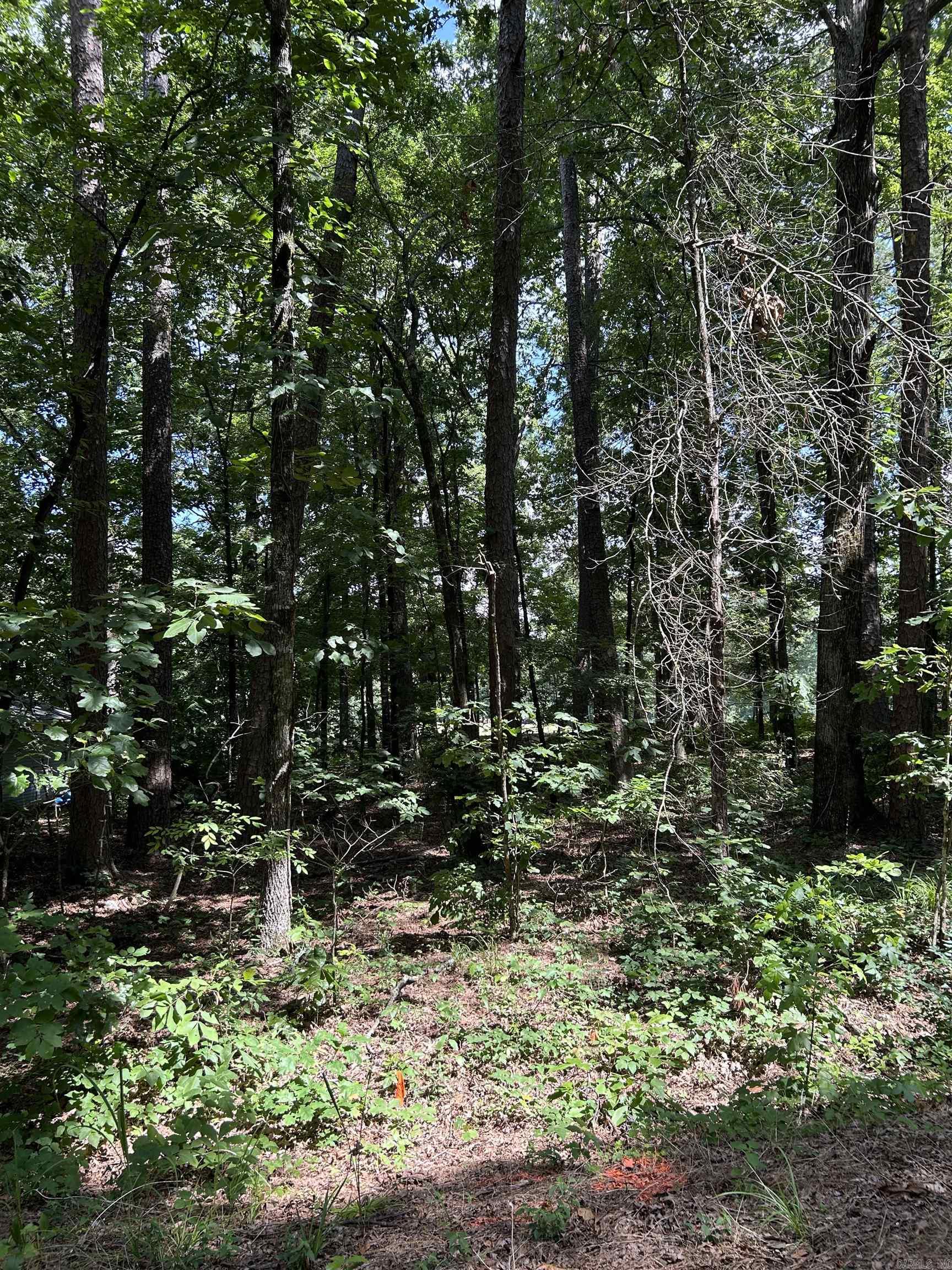 17 Ensenada  Hot Springs Village, AR