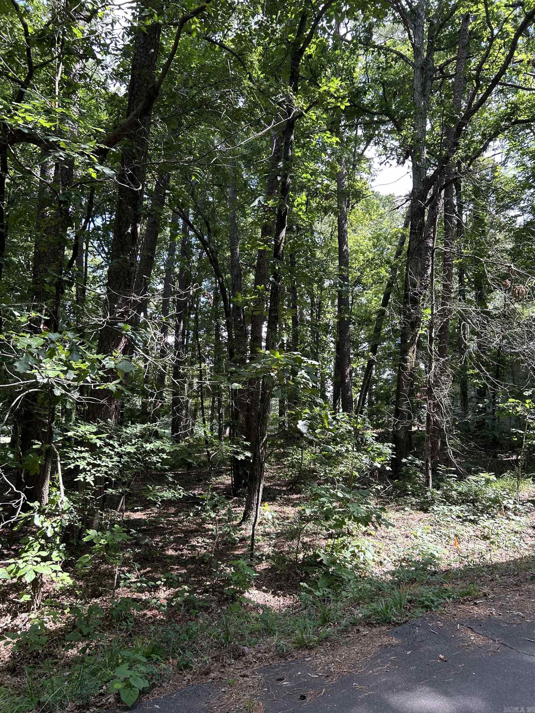 17 Ensenada  Hot Springs Village, AR
