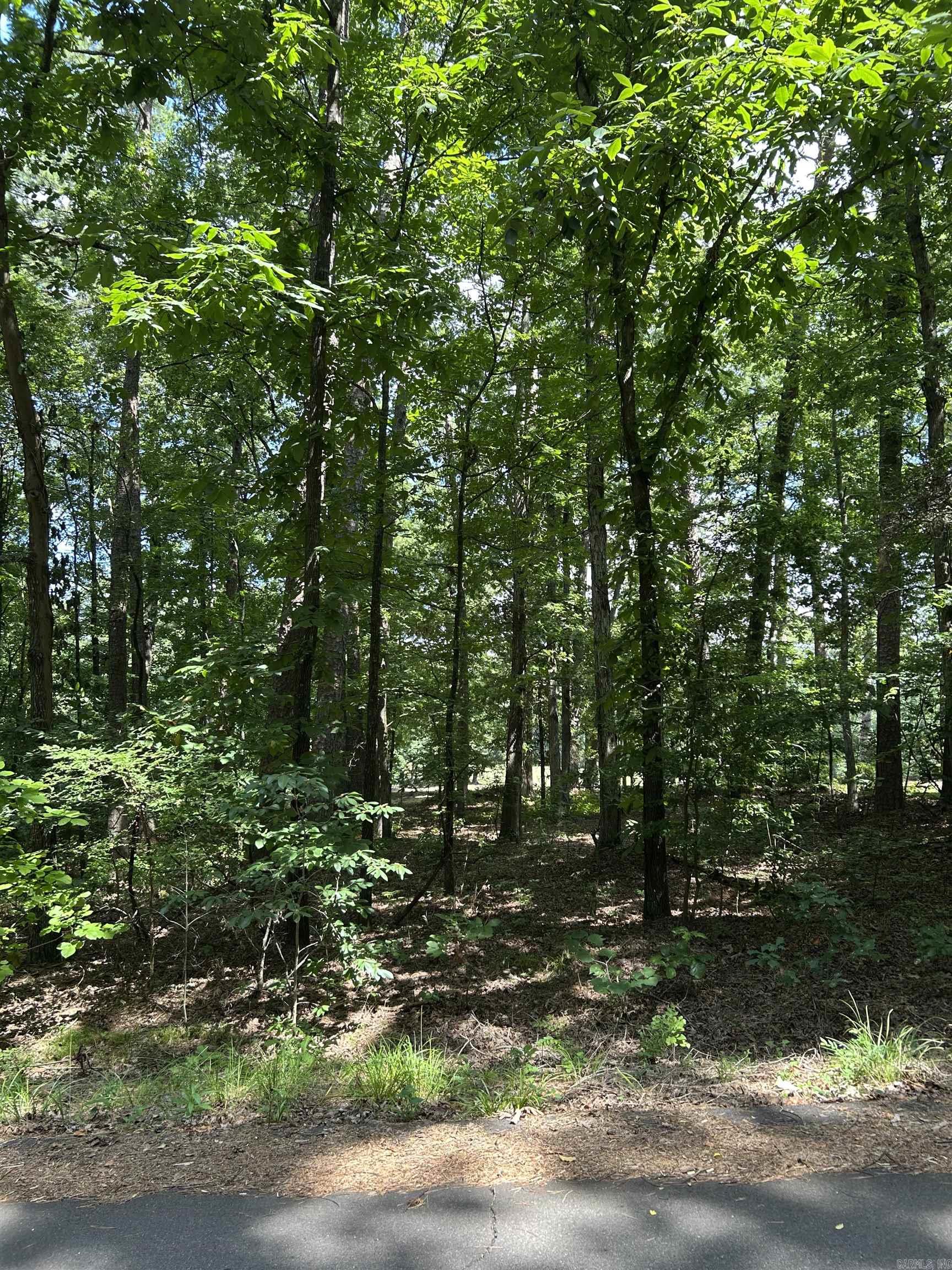 17 Ensenada  Hot Springs Village, AR